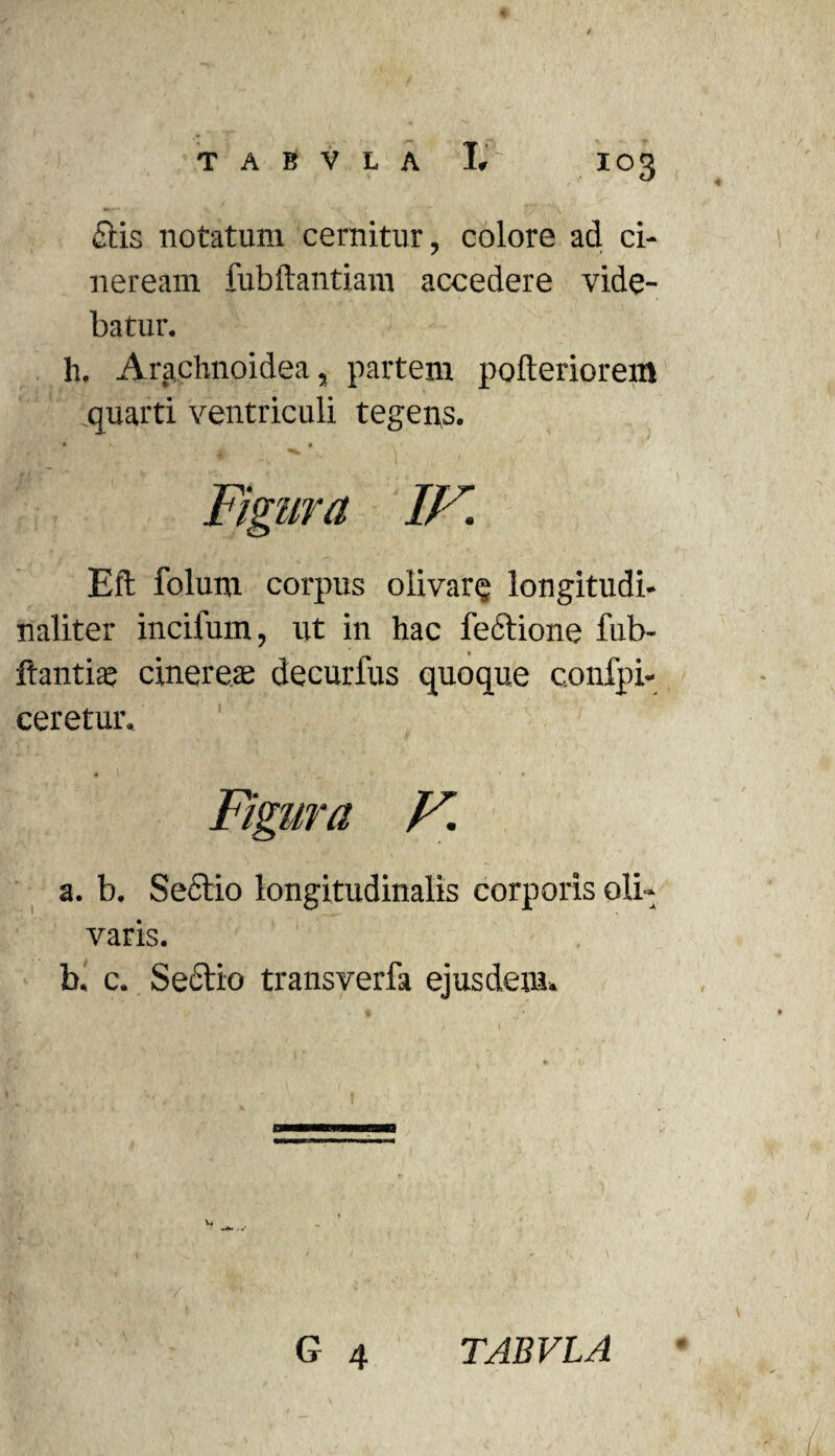 £tis notatum cernitur, colore ad ci¬ neream fubftantiam accedere vide¬ batur. h. Arachnoidea, partem pofteriorem quarti ventriculi tegens. * 4 Figura IF. Eft folum corpus olivare longitudi- naliter incifum, ut in hac lectione fub- ftantias cinerea; decurfus quoque confpi- ceretur. a. b. Sectio longitudinalis corporis oli¬ varis. - . b. c. Se£tio transverfa ejusdem. G 4 # TAB VIA