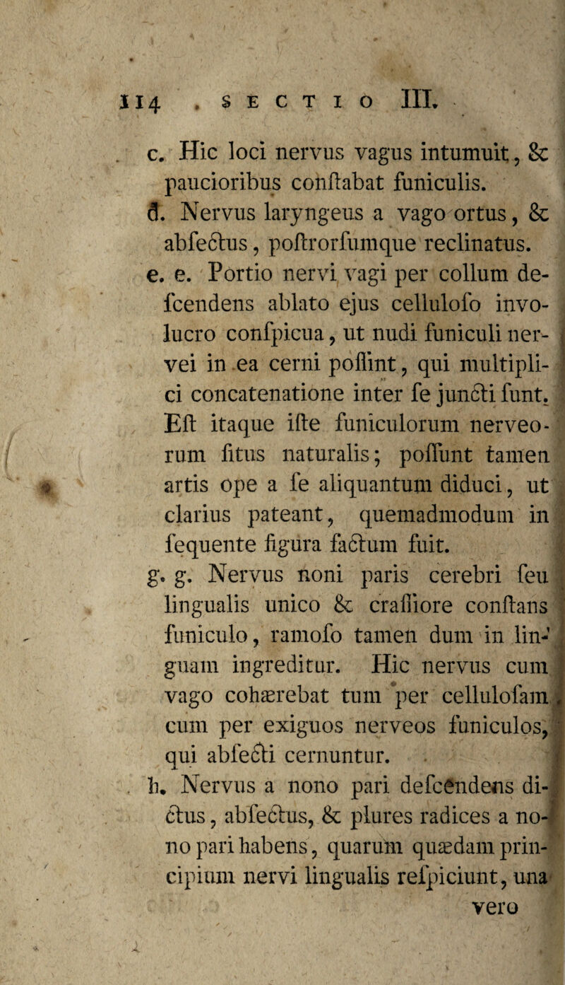 . c. Hic loci nervus vagus intumuit, & paucioribus conflabat funiculis. d. Nervus laryngeus a vago ortus, 8c abfecius, poftrorfumque reclinatus. e. e. 'Portio nervi vagi per collum de- fcendens ablato ejus cellulolo invo¬ lucro confpicua, ut nudi funiculi ner- I vei in ea cerni poflint, qui multipli- ci concatenatione inter fe juncti funt. i Eft itaque ille funiculorum nerveo- rum fitus naturalis; poliunt tamen * artis ope a fe aliquantum diduci, ut clarius pateant, quemadmodum in 1’equente figura factum fuit. ^ g. g. Nervus noni paris cerebri feu lingualis unico & crafliore conflans funiculo, ramofo tamen dum in lin¬ guam ingreditur. Hic nervus cum ' vago cohaerebat tum per cellulofam. cum per exiguos nerveos funiculos, qui abfecti cernuntur. I . h. Nervus a nono pari defcSndens di¬ ctus , abfectus, & plures radices a no¬ no pari habens, quarum quaedam prin¬ cipium nervi lingualis relpiciunt, una vero x ■ m u