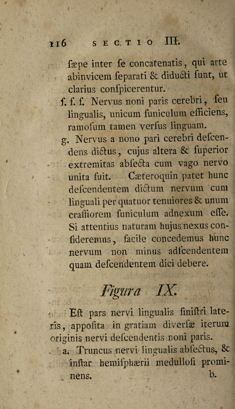 fsepe inter fe concatenatis, qui arte abinvicem feparati & diducti funt, ut clarius confpicerentur. f. f. f. Nervus noni paris cerebri, feu lingualis, unicum funiculum efficiens, ramofum tamen verius linguam. g. Nervus a nono pari cerebri delcen- dens dictus, cujus altera & fuperior extremitas abfecta cum vago nervo unita fuit. Caeteroquin patet hunc defcendentem dictum nervum 'cum linguali per quatuor tenuiores & unum craffiorem funiculum adnexum elfe. Si attentius naturam hujus nexus con¬ fideremus, fecile concedemus hunc nervum non minus adfcendentem quam defceridentem dici debere. IX. Eft pars nervi lingualis finiftri late¬ ris , appofita in gratiam diverfe iterum originis nervi defcendentis noni paris. Truncus nervi lingualis ablectus, & a. inftar hemifpluerii medullofi promi¬ nens. b.