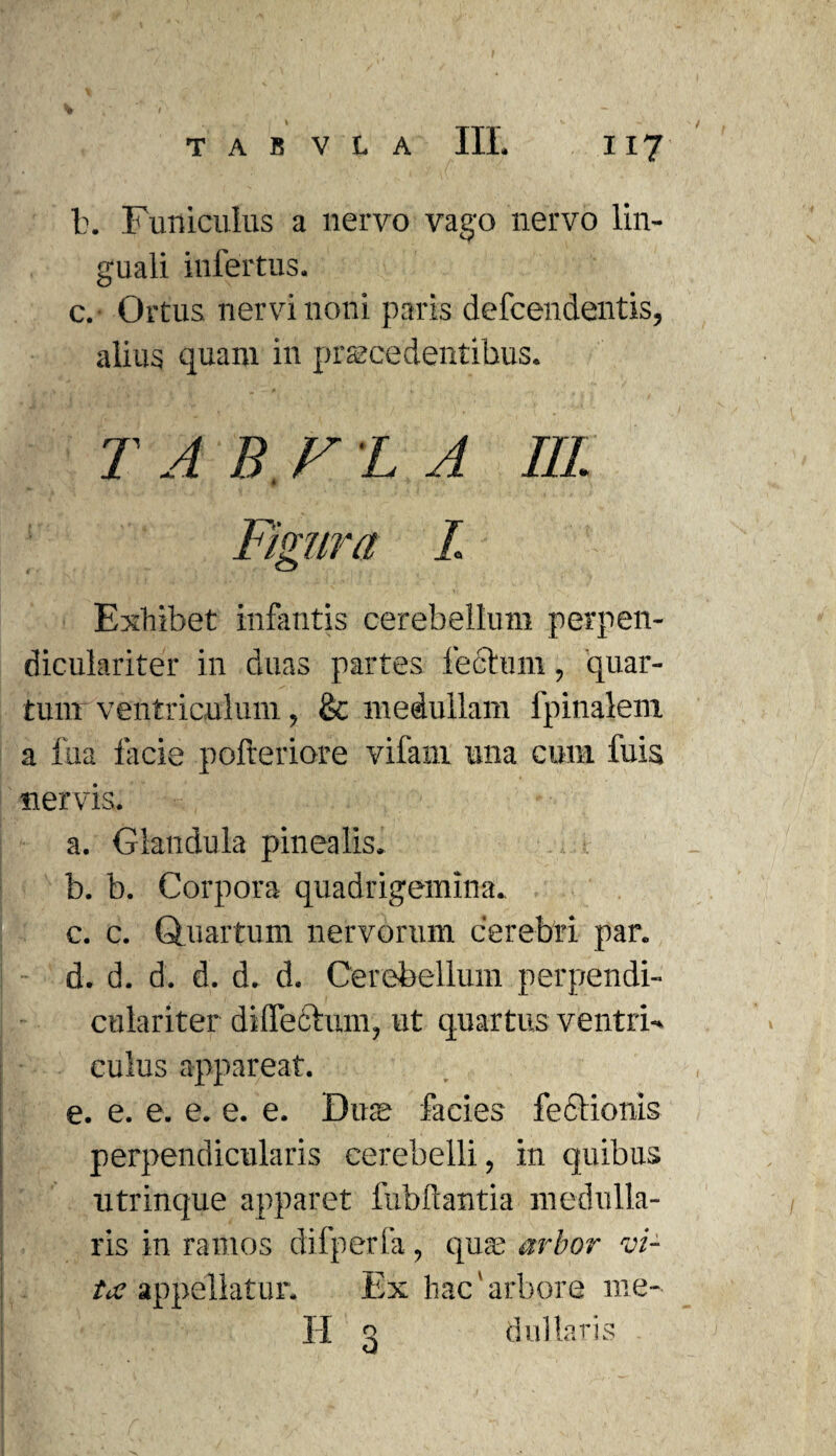 b. Funiculus a nervo vago nervo lin¬ guali infertus. c. Ortus nervi noni paris defcendentis, alius quam in procedentibus. r a n.ri. a in Figura I Exhibet infantis cerebellum perpen- diculariter in duas partes fechim, quar¬ tum ventriculum, & medullam lpinalem a lua lacie pofteriore vifam una cum fuis nervis. a. Glandula pinealis. b. b. Corpora quadrigemina. c. c. Quartum nervorum cerebri par. d. d. d. d. d. d. Cerebellum perpendi- culariter dilTeCtunq ut quartus ventri¬ culus appareat. e. e. e. e. e. e. Duo facies fefitionis perpendicularis cerebelli, in quibus titrinque apparet fubftantia medulla¬ ris in ramos difperfa, quo arbor vi¬ ta appellatur. Ex hac'arbore me¬ li g dul laris