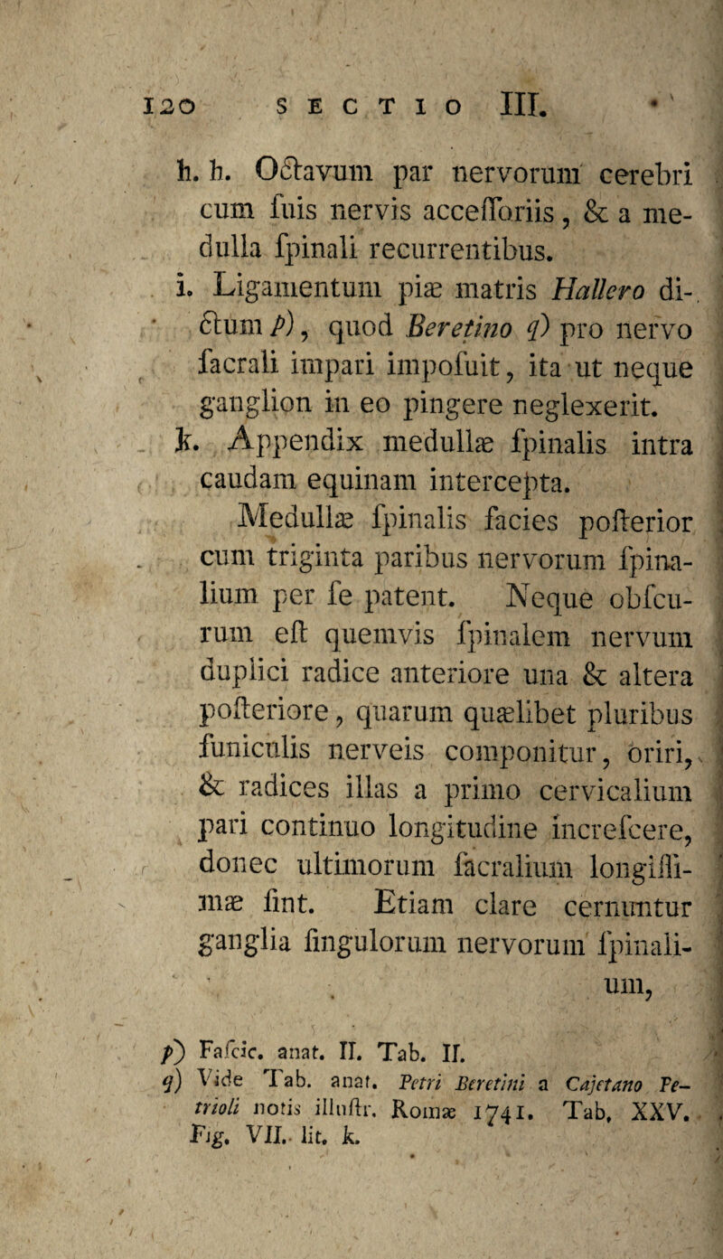 h. b. Oclavum par nervorum cerebri cum fuis nervis accefforiis, & a me¬ dulla fpinali recurrentibus. i. Ligamentum piae matris Hallero di¬ ctum p), quod Beretino q) pro nervo lacrali impari imp oluit, ita ut neque ganglion in eo pingere neglexerit. Ji. Appendix medullae fpinalis intra caudam equinam intercepta. Medullae fpinalis facies pofterior cum triginta paribus nervorum fpina- lium per fe patent. Neque obfcu- rum eft quemvis fpinalem nervum duplici radice anteriore una & altera pofteriore, quarum qualibet pluribus funiculis nerveis coiuponitiir, oriri, & radices illas a primo cervicalium pari continuo longitudine increfcere, donec ultimorum facralium longilii- mae lint. Etiam clare cernimtur ganglia fingulorum nervorum fpinali- um, f') Fafcic. anat. II. Tab. II. 5) Fide Tab. anat. Petri Btrttini a Cajetano Pe- trioli notis illnftr. Roma; 1741. Tab. XXV. Fjg. VI!.. Iit. k.