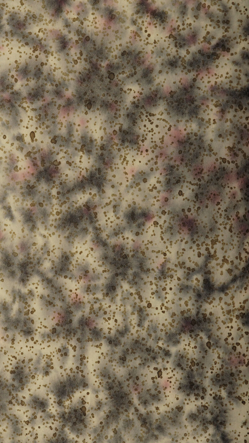 ‘ %jp|r. j; *«S * • . * * 4. *‘l':' 0 II ** *« J * \ % 7 * \\ifr * * * A;# i__ . ; v, «*** tijffc ’•■»\ *y >