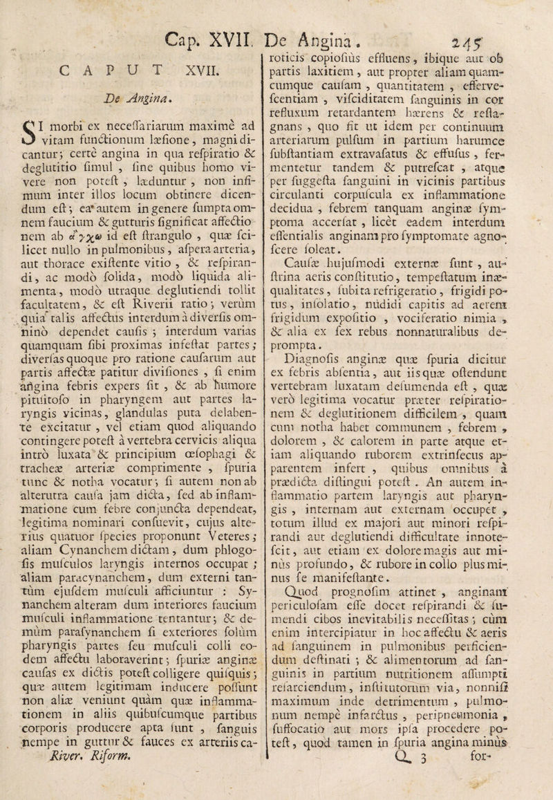CAPUT XVII. De Angina* SI morbi ex nec e (Ta narum maxime ad vitam fundtionum laelione, magni di¬ cantur V certe angina in qua refpiratio &C deglutitio fimul , line quibus homo vi¬ vere non poteft , laeduntur , non infi¬ mum inter illos locum obtinere dicen¬ dum eft*, ea* autem in genere fumpta om¬ nem faucium & gutturis fignificat affedtio nem ab cty%& id eft ftrangulo , quae fci- licet nullo in pulmonibus, afpera arteria, aut thorace exiftente vitio , & rcfpiran- di5 ac modo folida, modo liquida ali¬ menta, modo utraque deglutiendi tollit facultatem, & eft Riverii ratio; verum quia talis affe&us interdum adiverfis om¬ nino dependet caulis ; interdum varias quamquam fibi proximas infeftat partes; diverfas quoque pro ratione caufarum aut partis affedfoe patitur divifiones , fi enim angina febris expers fit , & ab humore pitititofo in pharyngem aut partes la¬ ryngis vicinas, glandulas puta delaben- te excitatur , vel etiam quod aliquando contingere poteft a vertebra cervicis aliqua intro luxata & principium cefophagi &c tracheae arteriae comprimente , fpuria tunc 8c notha vocatum, fi autem non ab alterutra caufa jam dhfta, fed ab inflam¬ matione cum febre conjnndta dependear, legitima nominari confuevit, cujus alte¬ rius quatuor fpecies proponunt Veteres; aliam Cynanchem didam , dum phlogo- fis mufculos laryngis internos occupat ; aliam paracynanchem, dum externi tan¬ tum ejufdem mufculi afficiuntur : Sy- nanchem alteram dum interiores faucium mufculi inflammatione tentantur; & de¬ mum parafynanchem fi exteriores folum pharyngis partes feu mufculi colli eo¬ dem affedu laboraverint i fpurias anginas caufas ex didis poteft colligere quifquis*, quos autem legitimam inducere poliunt non alias veniunt quam quas inflamma¬ tionem in aliis quibufcumque partibus corporis producere apta lunt , fanguis nempe in guttur & fauces ex arteriis ca- roticis copiofius effluens , ibiqne aut ob partis laxitiem, aut propter aliam quam- cumque catifam , quantitatem , efferve- fcentiam , vifciditatem fanguinrs in cor refluxum retardantem haerens & refla- gnans , quo fit ut idem per continuum arteriarum pulfum in partium harumce fubftantiam extravafatus & effultis , fer¬ mentetur tandem & putrefeat , atque per fuggefla fanguini in vicinis partibus circulanti corpufcula ex inflammatione decidua , febrem tanquam anginas fym- ptoma accerfat , licet eadem interdum effentialis anginam pro fymptomate agno- fcere foleat. Caufas hujufmodi externas funt , aiC Urina aeris confli turio, tempeftatum inas~ qualitates, fubitarefrigeratio , frigidi po¬ tus , infolatio, mididi capitis ad aerem frigidum expolitio , vociferatio nimia 9 & alia ex fex rebus nonnaturalibus de¬ prompta . Diagnofis anginas quas fpuria dicitur ex febris ablentia, aut iisqute oftendunt vertebram luxatam defumenda eft , quas vero legitima vocatur praeter refpiratio- nem &c deglutitionem difficilem , quam cum notha habet communem , febrem y dolorem , &c calorem in parte atque et¬ iam aliquando ruborem extrinfecus ap- parentem infert , quibus omnibus a preedida diftingui poteft .. An autem in¬ flammatio partem laryngis aut pharyn¬ gis , internam aut externam occupet , totum illud ex majori aut minori refpi- randi aut deglutiendi difficultate innote- fcit, aut etiam ex dolore magis aut mi¬ niis profundo, & rubore in collo plus mi¬ nus fe manifeftante* Quod prognofim attinet , anginam periculofam elfe docet refpirandi & fu- mendi cibos inevitabilis neceffitas *, cum enim intercipiatur in hoc affediu & aeris ad fanguinem in pulmonibus perficien¬ dum deftinati *, & alimentorum ad fan- guinis in partium nutritionem alfumpti refarciendum, inftitutorum via, nonnifl maximum inde detrimentum , pulmo¬ num nempe infarctus , peripnewmonia 9 fuffocatio aut mors ipfa procedere po¬ teft , quod tamen in fpuria angina minus