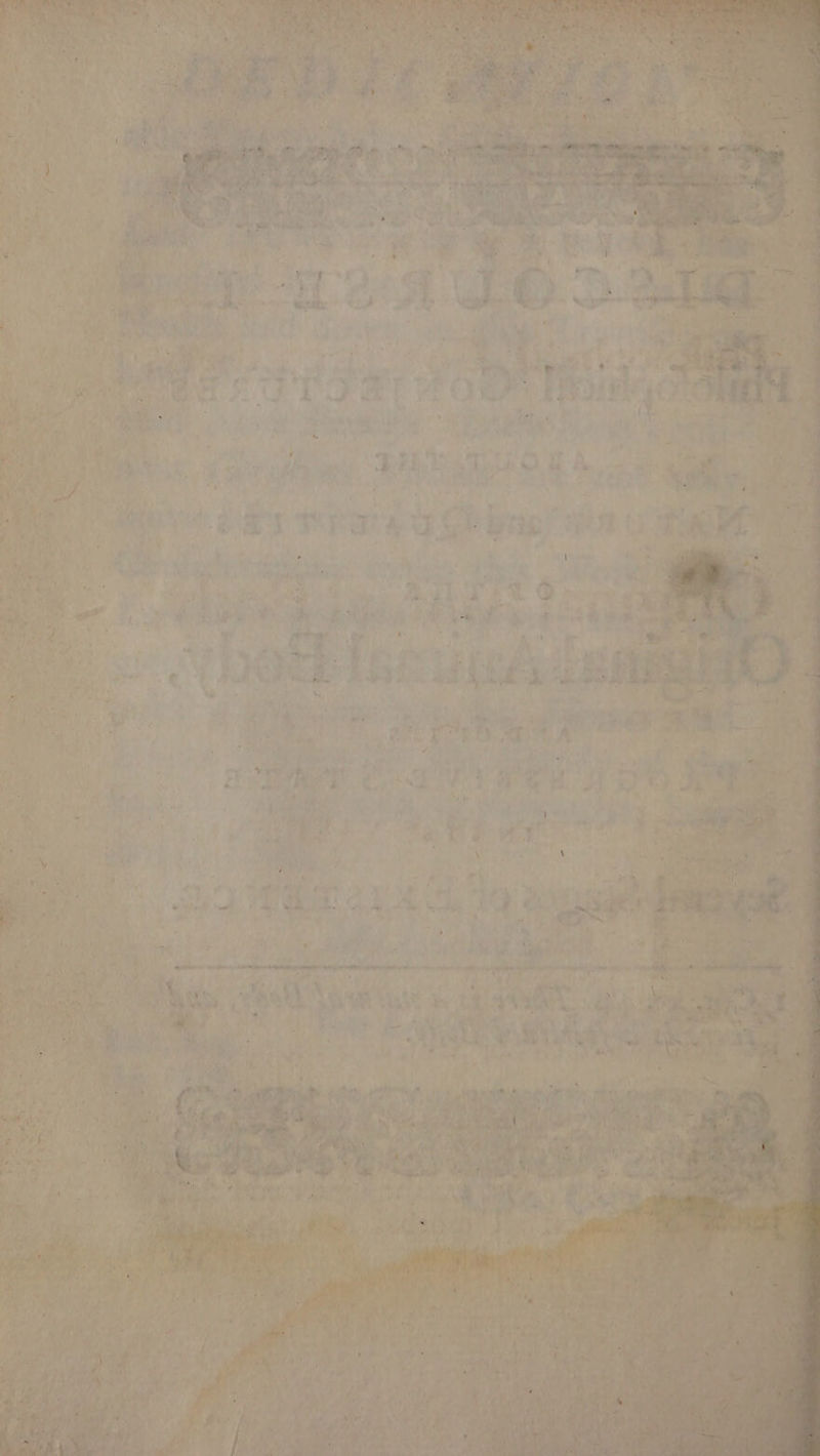 mt Leech ae is ae by re re wn oa ae re : iintateah,