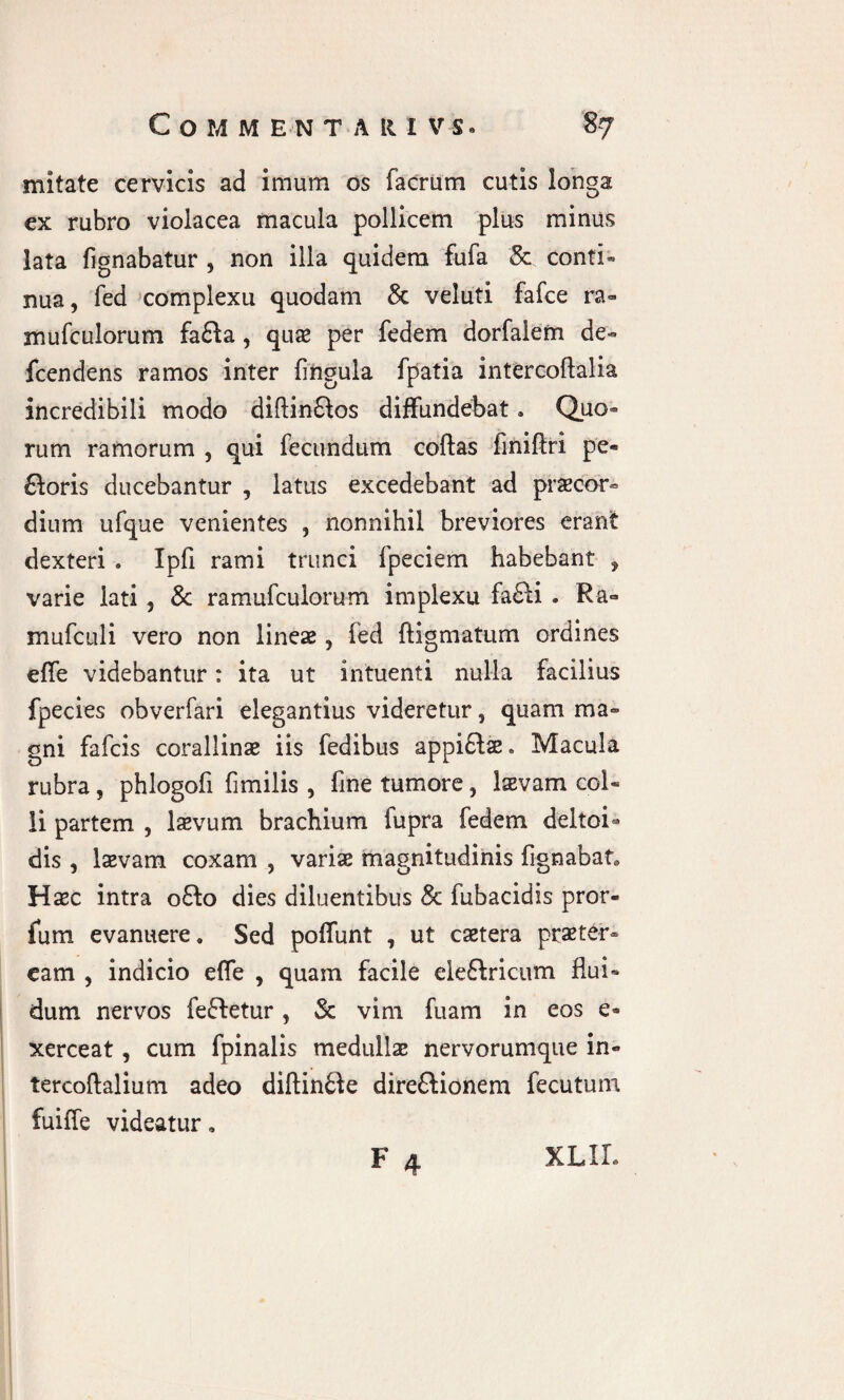 mitate cervicis ad imum os facrum cutis longa ex rubro violacea macula pollicem plus minus lata lignabatur , non illa quidem fufa & conti¬ nua, fed complexu quodam & veluti fafce ra« mufculorum fa8a , quae per fedem dorfalem de- fcendens ramos inter lingula fpatia intercoftalia incredibili modo diftinQos diffundebat. Quo¬ rum ramorum , qui fecundum coftas finiftri pe¬ coris ducebantur , latus excedebant ad praecor¬ dium ufque venientes , nonnihil breviores erant dexteri . Ipfi rami trunci fpeciem habebant , varie lati , & ramufculomm implexu fa8i . Ra« mufculi vero non lineae, led ftigmatum ordines effe videbantur: ita ut intuenti nulla facilius fpecies obverfari elegantius videretur, quam ma¬ gni fafcis corallinae iis fedibus appi8ae. Macula rubra, phlogofi fimilis , fine tumore, laevam col¬ li partem , laevum brachium fupra fedem deltoi- dis , laevam coxam , variae magnitudinis fignabat. Haec intra 08:0 dies diluentibus & fubacidis pror¬ ium evanuere. Sed poffunt , ut caetera praeter¬ eam , indicio effe , quam facile ele&ricum flui¬ dum nervos feftetur, & vim fuam in eos e» xerceat, cum fpinalis medullae nervorumque in- tercoftalium adeo diftinfcfe dire&ionem fecutum fuiffe videatur. F 4 XLIL