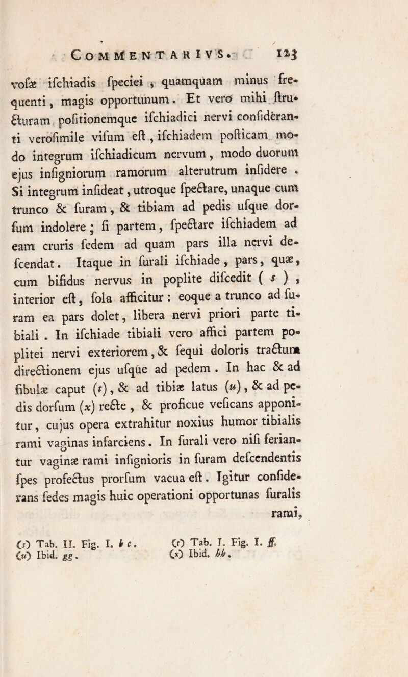 vofse ifchiadis fpeciei , quamquam minus fre¬ quenti ( magis opportunum • Et vero mihi {fru¬ ctu r a in pofitionemque ifchiadici nervi confideran- ti verofimile vifum eft , ifchiadem pofticam mo¬ do integrum ifchiadicum nervum , modo duorum ejus infigniorum ramorum alterutrum infidere . Si integrum infideat, utroque fpeftare, unaque cum trunco & furam, & tibiam ad pedis ufque dor- fum indolere; fi partem, fpe£lare ifchiadem ad eam cruris fedem ad quam pars illa ncivi de® fcendat. Itaque in furali ifchiade , pais, qu«£s cum bifidus nervus in poplite difcedit ( s ) , interior eft, lola afficitur 1 eoque a trunco ad fu® ram ea pars dolet, libera nervi priori parte ti- biali . In ifchiade tibiali vero affici partem po* plitei nervi exteriorem, St fequi doloris traflunt dire&ionem ejus ufque ad pedem . In hac & ad fibulas caput (t), St ad tibias latus (u), St ad pe¬ dis dorfum (*) refte , & proficue veficans apponi¬ tur , cujus opera extrahitur noxius humor tibialis rami vaginas infarciens. In furali vero nifi ferian¬ tur vaginae rami infignioris in furam defcendentis fpes profeftus prorfum vacua eft. Igitur confide- rans fedes magis huic operationi opportunas furalxs rami. (0 Tab. II. Fig. I .te. €«3 Ibid. gg. CO Tab. I. Fig. I. £ CO Ibid. hh.