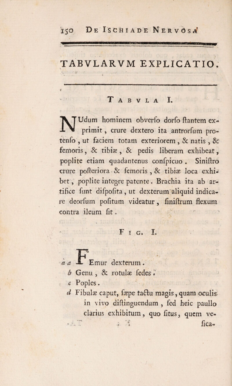 TABVLARVM EXPLICATIO. 5'' • ^ •. ■* , 4 • >. (f T A B V L A I. NUdum hominem obverfo dorfo flantem ex¬ primit , crure dextero ita antrorfum pro- tenfo , ut faciem totam exteriorem , & natis , 8c femoris, 8c tibise , 3c pedis liberam exhibeat, poplite etiam quadantenus confpicuo „ Siniftro crure pofleriora & femoris , 8c tibix loca exhi¬ bet , poplite integre patente. Brachia ita ab ar¬ tifice funt difpofita , ut dexterum aliquid indica¬ re deorfum pofitum videatur, finiftrum flexum contra ileum fit.  F r g, L ita FEmur dexterum. b Genu , & rotulae fedes • c Poples. d Fibulae caput, fepe ta£lu magis, quam oculis in vivo diflinguendum , fed heic paullo clarius exhibitum, quo fitus, quem ve- *—** J? r* ' *• ^ i iicS9®