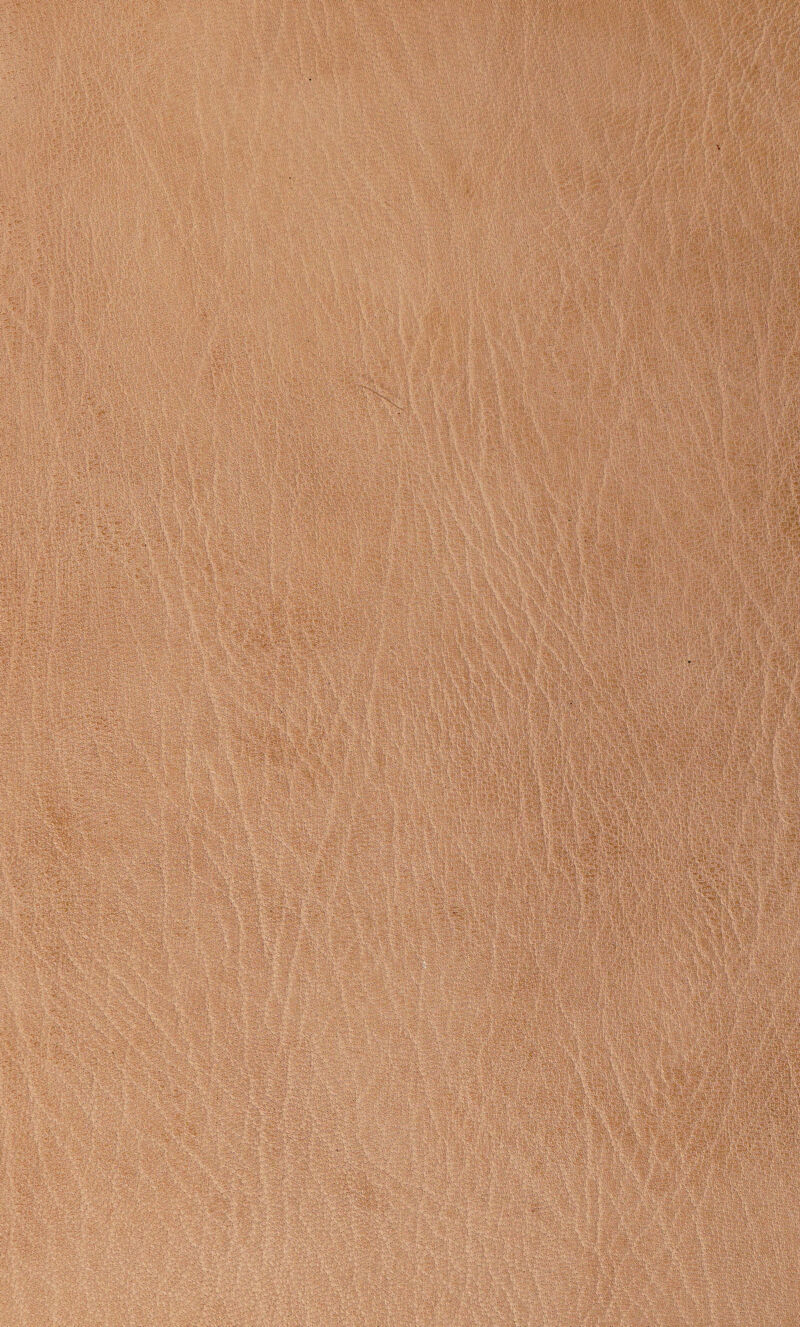 ,. : -■ WWS , ■'; .-.vi',;>■•■. v-.v.»;-,;. . ■ 'Xja^ ■■•':■■■ vi;.O.v-vv;,?1 ■ i ••'./■fc.vA-iviV;-1 l k m •ffv&i S||;@ . *«■««« v-vv ‘-W -•-• • ' - ' ■ • • - . .' ■*. ,-r . . .. : mz % ■: - ' - - vi-;- :•• •: .•>••'' ' . ■ ;. . ... |§lg «HI -•• .'. ' - :.' • :v ■ ist '■■ ■ 1 i l: ■ ■■MjgMfc?. ■ • :r,v:-rvf^ ... .V . ' ■ . :..- '.:... ■ ', . - ' •• ■  •■' - ••■..-■ “ m -■ • -. :■ ■ ■ : ■■ .■.- . - : • ' •' v:.. . -. - - -[9 . ,t 'fi ' 'f ' ' - 'i 3-; -:>W: . ■ ■..' ■  ■. - '•■ 5*$V! ' ■  .- ■ \, v;-.'.^ • •’•■ .'• '•:*•••'.  :..-.v.-:;, .....; '.;1..,-.:.i.: ...,v. •(•. . • vSvV^Vriv mm •' :.:. '• «4 ■}. •.,■■■- ilf •-■■;• •• ::fe II • ' - - ’ • . . ..•■ ,..■ • ..- * ’ m ■ ■ ' v' •■ ..' ■ ...-• mmm i®* V Jfck.....■•.: v>. SBBbiawHlS^B ’.y'v£0 v ...v-;A... ' -V; ..Vi v..:. mm - ...- ...V '■ ... ' .  i .1^^» §M ' cpk • ■ ■ ' ••• ■ .. •■••-: ■ • - ■ japSa.fki8lga^BB«MMa!?i' :; 3.V.'T?a' ■■■ ■ : :; . -:i:r':<’