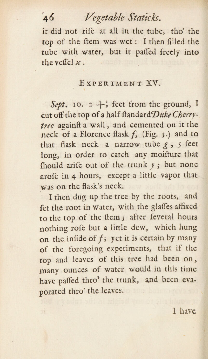 it did not rife at all in the tube, tho* the top of the ftem was wet : I then filled the tube with water, but it pafled freely into the veflel x. Experiment XV. Sept. io. 2 -f-i feet from the ground, I cut off the top of a half ftandard'Duke Cherry- tree againft a wall, and cemented on it the neck of a Florence flask/, (Fig. 3.) and to that flask neck a narrow tube g , 5 feet long, in order to catch any moifture that fhould arife out of the trunk y ; but none arofe in 4 hours, except a little vapor that was on the flask’s neck. I then dug up the tree by the roots, and fet the root in water, with the glaffes affixed to the top of the ftem j after feveral hours nothing rofe but a little dew, which hung on the infide of/} yet it is certain by many of the foregoing experiments, that if the top and leaves of this tree had been on, many ounces of water would in this time have pafled thro’ the trunk, and been eva¬ porated thro5 the leaves. 1 have