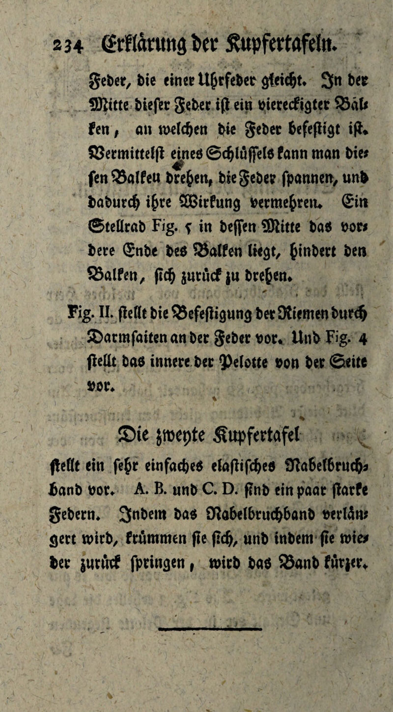 S34 CPrMntjtö icr ^«pfertöfeln. geber, bie dncrU^tfebcr 3in ber SRitte biefer gebcc i(J ein bicrecfigt« S5äl< fen, an tt«((^en bie gebet befcfltgt i|l# SSermittelfl dneö@c^luffc(6fann man bie# fenSBaIfcu bre^cn^ bie gebet fpannen, unb baburc^ i^re SBirfung bermc^teiu Sin (Steflrab Fig. f in beflfen ®itte ba6 boin bete Snbe beö Rolfen (k^t, ^inbert beti Sialfen, fid^ jnruef |tt bre^en# Fig. II. fledt bie SJefefligun^ bet Kiemen bnt<$ JDarmfaiien an bet gebet bot» Unb Fig. 4 bac( innere bet 9)e(otte bon bet @eite bot» % ■ s ©ie jittepte ^upf<rtafel fteKt (in fe^r etnfaciies ((nflifc^eo ina6e(6ru($9 4«nb not. A. B. anb C. D. fftib ein paar |larfe Gebern. 2inbem ba<s £Ra6((&cu#anb eerlän; gert ivicb, frommen fie f!c^, unb inbem fle toici) ttv jurfttf fprin^en, wirb bab ^anb (ütier*