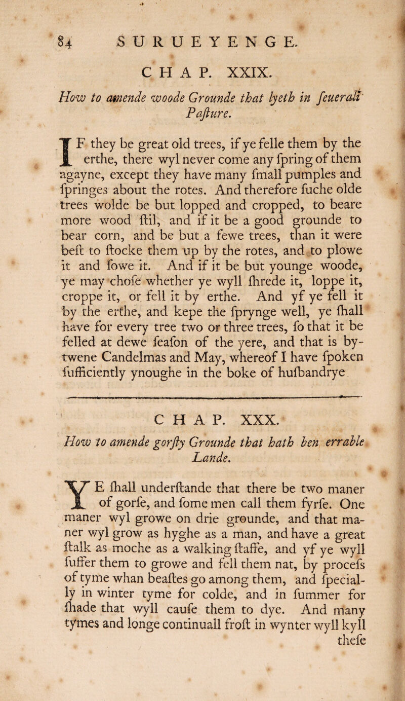 CHAP. XXIX. How to amende woode Grounde that lyeth in feuerdl Pafiure. IF they be great old trees, if ye felle them by the erthe, there wyl never come any fpring of them agayne, except they have many fmall pumples and fpringes about the rotes. And therefore fuche olde trees wolde be but lopped and cropped, to beare more wood ftil, and if it be a good grounde to bear corn, and be but a fewe trees, than it were b-eft to ftocke them up by the rotes, and to plowe it and fowe it. And if it be but younge woode, ye may chofe whether ye wyll ihrede it, loppe it, croppe it, or fell it by erthe. And yf ye fell it by the erthe, and kepe the fprynge well, ye fhall have for every tree two or three trees, fo that it be felled at dewe feafon of the yere, and that is by- twene Candelmas and May, whereof I have fpoken fufficiently ynoughe in the boke of hufbandrye CHAP. XXX. How to amende gorfly Grounde that hath hen err able Lande. YE iliall underftande that there be two maner of gorfe, and fome men call them fyrfe. One maner wyl growe on drie grounde, and that ma¬ ner wyl grow as hyghe as a man, and have a great ftalk as moche as a walking ftaffe, and yf ye wyll fuifer them to growe and fell them nat, by procefs of tyme whan beaites go among them, and fpecial- ly in winter tyme ior colde, and in furnmer for iliade that wyll caufe them to dye. And many tymes and longe continuall froft in wynter wyll kyll thefe *