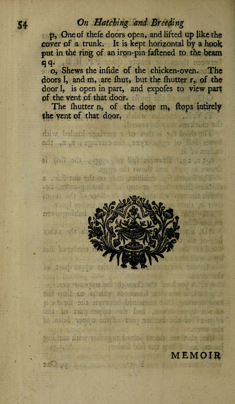 p, One of thefe doors open, and lifted up like the cover of a trunk. It is kept horizontal by a hook put in the ring of an iron-pin fattened to the beam qq- o, Shews the infide of the chicken-oven. The doors 1, and m, are fhut, but the fhutter r, of the door 1, is open in part, and expofes to view part pf the vent of that door. The fhutter n, of the door m, flops intirely the vent of that door. / «. * v •’ i - '■ y < « » • v v V i 'T? » * r t • r  1 V ’ J • \ 4 J . t. MEMOIR