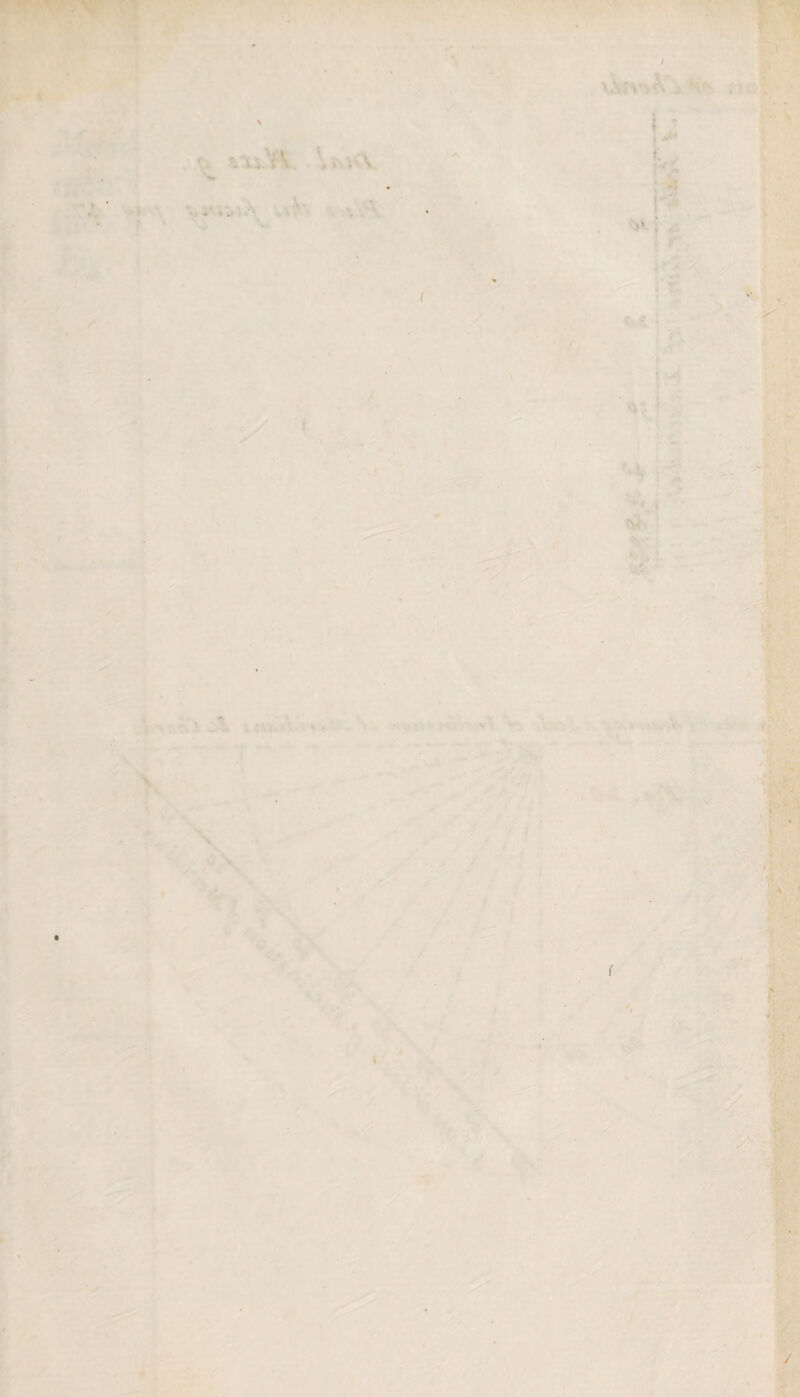 - >. - v.;> ■ \ >'; r ■