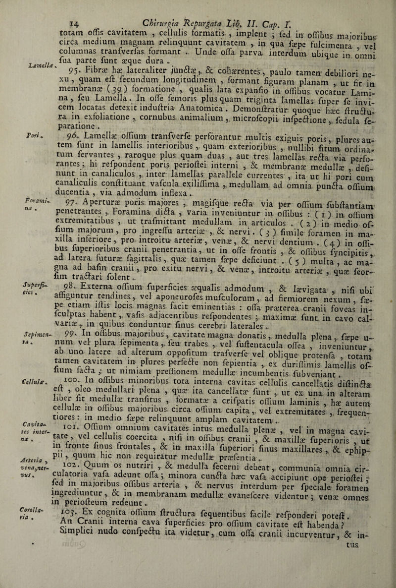 Lamella Tori 0 Forami S u per fi* eia « Sepimen ta , Cellula, Cavita- tes /«ter Arteria 5 vena^ner- vus « Corolla- via . 14 _ Chirurgia 'Repurgata lib. li. Cap. T. totam offe cavitatene , cellulis formati , implent ; fed in offibus maioribm circa medium magnani relinquunt cavitatem , in qua fepe fuJcimenta vel columnas tranfverfas formant . Unde offa parva interdum ubique in orrni fua parte funt a?que dura ... 95. Fibro ha lateralitcr jun£fe„ & cohorentes, paulo tamen debiliori ne- xu , quam eft fecundum longitudinem , formant fìguram planam ut fit in membrana; (39) forminone , qualis lata expanfio in off bus vocatur Lami¬ na , leu Lamella. In offe femoris plus quam triginta lamellas fuper le invi- cem locatas detexit induftria Anatomica . Demonflratur quoque hoc ftruftu- ra in exfoliatione ,, cornubus animalium microlcopii infpe£Hone , ledula le- paratione . 96* Lamella? offium tranfverfe perforanti^ multis exiguis poris, pluresau- tem funt in lamellis interioribus „ quam exterioribus , nullibi fitum ordina* tum fcrvantes raroque plus quam duas , aut tres lamellas retta via perfo¬ rante^; hi refpondent pons perioftei interni , & membrana? medulfe defe nunt m canahculos , mter lamellas parallele currentes , ita ut hi pori cum canaliculis conftituant vafcula. exiliffima y medullam. ad omnia puntta offium ducentia , via admodum inflexa .. 97- Apertura; pori majores , magilque re£la via per offium fubftantiatm penetrantes , Foramina dièta , varia inveniuntur in offibus : ( j ) in offium extremitatibus , ut tralmittant medullam in articulos . ( 2 ) in medio ol- lium majorum , prò ingreffu arteria , & nervi. ( 3 ) limile foramen in ma¬ glia interiore , prò mtroitu arteria;-, veno, & nervi dentium . ( 4 ) in offi¬ bus luperioribus crani! penetrantia, ut in offe frontis , & offibus lyncipitis ad latera. futura: lagittalis, qua tamen fepe deficiunt . ( 5 ) multa ac ma¬ gna ad nafin orami, prò exitu nervi, & vena;, introitu arteria: , qua leor- fim trattari; lolent.. ’ ^ 98, Externa offium fuperfìcies «quali admodum , & Levigata-, nifi ubi amguntur tendmes, vel aponeuroles mulculorum, ad tìrmiorem nexum fe¬ pe etiam iitis locis magnas facit eminentias : offa proterea cranii foveas in- iculptas hafaent ,, valis adjacentibus relpondentes maxima lunt in cavo cal¬ vario , in qui bus conduntur finus cerebri laterales . 99- In offibus majorihus, cavitate magna donatis, medulla piena , fepe u- num vel plura le pimenta,, leu trabes , vel luffentacula offea , inveniuntur, ab uno latere ad alterum oppolitum trafilerie vel oblique protenfa , totam tamen cavitatem in plures: perfeèle non fepientia , ex duriffimis lamellis ol- lium tetra ut mmiam preilionem medulfe incumbentis lubveniant 100 In offibus minonbus tota interna cavitas cellulis cancellati difiinfla elt , eleo medullari piena , quo ita cancellato lunt , ut ex una in alteram liber fit medullo tranfitus , formato a crilpatis offium laminis , ho autem celtulo in offibus majoribus circa offium capita,, vel extremitates , frequen- tiores : in medio fepe relinquunt amplam cavitatem . 101, Offium omnium cavitates intus medulla pieno , vel in magna cavi¬ tate, vel cellulis coercita , nifi in offibus cranii , & maxiilo fuperioris , ut in fronte finus frontales, & in maxilla fuperiori finus maxillares , & ephip- pn 5 quum hic non requiratur medulfe pi\Tfentia r i°2. Quum os nutriri 5. & medulla fecerni debeat y communia omnia cir- cu la tori a vafa adeunt offa; minora cunéda h^c vafa accipiunt ope perioftei • ed 111 majoribus offibus arteria 9 & nervus interdum per fpecìale foramen jngiediuntur r & in- membranam, medulfe evanefcere videntur ; vense omnes m perioffeum redeunt.. 105. Ex cognita offium ftru£ì:ura fequentibus facile refponderi poteff. An Cranu interna cava fuperficies prò offium cavitate eft habenda ? Amplici nudo confpeéfu ita videtur, cum offa cranii incurventur, & in-