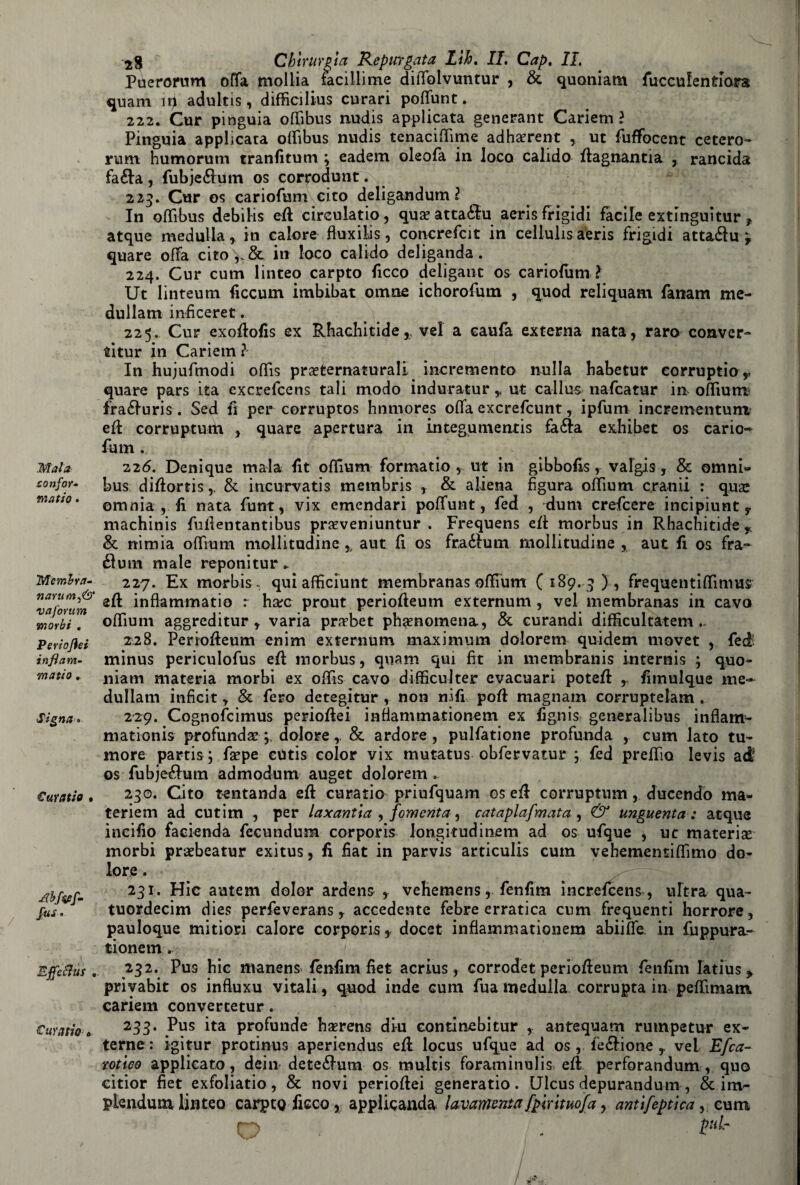 Mala confor¬ ma ti o . Membra* narumf& va forum morbi , Periojìei infiam¬ matiti + Sìgna . Curatio • ■rfbfsef- fus* Effettui . Cui atto * 28 Chirurgia Repurgata Llh. IL Cap. IL Puerorum offa mollia iacillime diffolvuntur , & quoniam fuccufentlars quarn ir) adultis, difficilius curari poffunt. 222. Cur pinguia offìbus nudis applicata generant Carierò ì Pinguia applicata offìbus nudis tenaciffime adhaerent , ut fuffocent cetero- rum humorum tranfitum ; eadem oleofa in loco calido {lagnanti a , rancida fa èia , fubjeélum os corrodunt. 223. Cur os cariofum cito deligandum ? In offìbus debilis eff cireulatio, qua: attaélu aeris frigidi facile extinguitur f atque medulla , in calore ftuxilis, concretot in cellulis aeris frigidi attaélu f quare offa cito>.& in loco calido deliganda. 224. Cur cum linteo carpto ficco deligant os cariofum ? Ut linteum ficcum imbibat omafi ichorofum , quod reli quatti fanam me- dullam inficeret. 225. Cur exoffofis ex Rhacbitide, vel a caufa externa nata , raro conver- titur in Cariem ? In hujufmodi oflìs preternaturali incremento nulla babetur eorruptio> quare pars ita excrefcens tali modo induratur * ut callus nafcatur in offìum1 fraéluris. Sed fi per corruptos hnmores offa excrefcunt, ipfum incrementum eff corruptum , quare apertura in integumenris faéla exhibet os cario-* fum . 226. Denique mala fit offìum formatio , ut in gibbofisvalgis, & omni¬ bus diff ortis& incurvatis membris , & aliena figura offìum crani! : qua: omnia , fi nata funt, vix emcndari poffunt, fed , dum crefcere incipiunt y machinis fuffentantibus preveniuntur . Frequens eff morbus in Rhachitide f. & ttimia offìum mollitudine % aut fi os fraélum mollitudine , aut fi os fra- £lum male reponitur* 227. Ex morbis , qui afficiunt membranas offìum (189. 9), freqaentiffìmus eff infìammatio : hec prout perioffeum externum , vel membranas in cavo offìum aggreditur , varia prebet phenomena, & curandi difficultatem 228. Perioffeum enim externum maximum dolorem quidem movet , fed: minus periculofus eff morbus, quam qui fit in membranis internis ; quo- niam materia morbi ex offìs cavo difficulter evacuari poteff , fimulque me- dullam inficit, & fero detegitur , non nifi poff magnani corruptelam . 229. Cognotomus perioffei inflammationem ex fignis generalibus inflam- mationis profundae> dolore r & ardore, pulfatione profonda , cum lato tu¬ more partis ; fiepe cutis color vix mutatus obfervatur ; fed prefiìo levis ad os fubjetftum admodum auget dolorem. 290. Cito tentanda eff curatio priufquam os eff corruptum, ducendo ma- teriem ad cutim , per laxanùa , fomenta, cataplafmata , & unguenta : atque ineifìo facienda fecundum corporis longitudinem ad os ufque , uc materia: morbi probeatur exitus, fi fiat in parvis articulis cum vebementiffìmo do¬ lore . 231. Hic autem dolor ardens , vehemens, fenfim increfcens, ultra qua- tuordecim dies perfeverans, accedente febre erratica cum frequenti horrore, pauloque minori calore corporis, docet inflammationem abiiffe in fuppura- tionem. 232. Pus bic manens fenfim fiefc acrius, corrodet perioffeum fenfim latius * privabit os infiuxu vitali , quod inde cum fua medulla corrupta in peffìmam cariem convertetur. 233. Pus ita profonde baerens din continebitur , antequam rumpetur ex¬ terne: igitur protinus aperiendus eff locus ufque ad os , le&ione r vel Efca- totico applicato, dein dete<ffum os multis foraminulis eff perforandum , quo citior fiet exfoliatio, & novi perioffei generatio. Ulcus depurandum, & inv- plendum linteo carpto fisco, applicando lavamene fpìrituofa, anttfeptica, cum O . P,lr