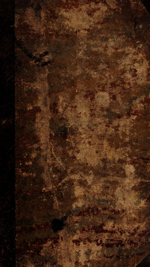 No text description is available for this image