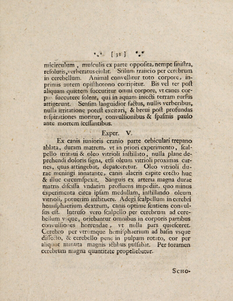 * * * • * » [ 31 ] mi circulum , midculis ex parte oppofita, nempe finiflra, refolutis,verheratuseiulat Stilum traiicio per cerebrum in cerebellum. Animal convellitur toto corpore, in- primis autem opiAhotono corripitur. Bis vel ter poli: aliquam quietem fuccutitur omni corpore, vt canes cor- pu,- fuccutere (olent, qui in aquam imecli terram rurfas attigerunt. Senfim languidior faftus, nulbs verberibus» nulFa irritatione poteft excitari, & breui poli: profundas rtfpirationes moritur, convullionibus & fpafmis paula ante mortem icdfantibus. Exper. V. Ex canis iumoris cranio parte orbiculari trepano ablata, duram matrem, vt in priori experimento, fcai- pello irritaui & oleo vitrioli inllillato, nulla plane de¬ prehendi doloris (igna, etfl oleum vitrioli proximas car¬ nes» quas attingebat, depateeretur. Oleo vitrioli du¬ rae meningi innatante, canis alacris capite eredo huc & illuc arcumfpexit, Sanguis ex arteria magna durae matris difeifla vndatim profluens impediit, quo minus experimenta circa ipfam medullam, inltillando oleum vitrioli, potuerim inilituere. Adegi fcalpellum in cerebri hennfphaerium dextrum, canis optime fentiens coneul- fus efl. Intrufo vero fcalpello per cerebrum ad cere¬ bellum v que , oriebantur omnibus in corporis partibus convuliiones horrendae, vt nulia pars quiefceret. Cerebro per vtrumque hemisphaerium ad bafln vsque diileelo, & cerebello pene in pulpam rotato, cor per aliq ioz minuta magnis i£hhus pulfabat. Per foramen cerebrum magna quantitate propellebatur, Scho-