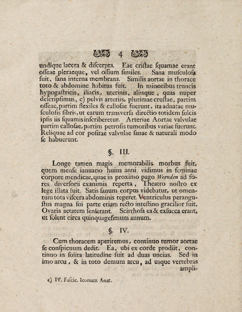 undique lacera & difcerpta. Eae criftae fquamae erant ofTeae pleraeque, vel offlum fimiles. Sana mufcelofft fuit, fana interna membrana. Similis aortae in thorace toto & abdomine habitus fuit. In minoribus truncis hypogaftricis, iliacis, uterinis, alissque , quas nuper defcripfimus, c) pelvis arteriis, plurimaecruftae, partirn ofleae, partirn flexiles & callofae fuerunt, itaadnatae mu- fculofis fibris, ut earum transverfa dire£lio totidem fulcis ipfis iis fquamisinfcriberetur. Arteriae Aortae valvulae partirn callofae, partirn petrofis tumoribus variae fuerunt. Reliquae ad cor politae valvulae fanae & naturali modo fe habuerunt. §. UI. Longe tamen magis memorabilis morbus fuit, quem menfe ianuario huius anni vidimus in feminae corpore mendicae, quae in proximo pago Weenden ad fo¬ res diverfoni exanimis reperta , Theatro noftro ex lege illata fuit. Satis fanum corpus videbatur, ut omen¬ tum tota vifcera abdominis tegeret. Ventriculus perangu- ftus magna fui parte etiam refto inteftino gracilior fuit. Ovaria aetatem ienferant. Scirrhofa ea& exfucca erant, ut folent circa quinquagefimum annum. §. IV. Cum thoracetn aperiremus, continuo tumor aortae fe confpicuum dedit. Ea, ubi ex corde prodiit, con¬ tinuo in folita latitudine fuit ad duas uncias. Sed in imo arcu , in toto demum arcu, ad usque vertebras ampii- c) IV. Fafcic, Iconum A nat.