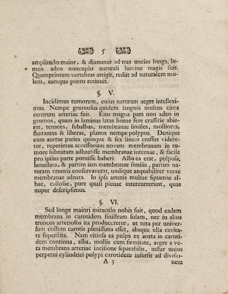 amplitudo maior, & diameter ad tres uncias longa, .to¬ men adeo noncuplo naturali lumine magis fuit. Quamprimum vertebras attigit, rediit ad naturalem mo¬ lem , eamque porro retinuit. 1 v. Incidimus tumorem, cuius naturam aegre intellexi¬ mus. Nempe grumofus quidem languis multus circa centrum arteriae fuit. Eius magna pars non adeo in grumos, quam in laminas latas lineae fere craflitie abie¬ rat, tenaces, fubalbas, membranae limiles, molliores, fluitantes & liberas, pianos nempe polypos. Denique cum aortae paries quinque & fex lineas craflus videre¬ tur, reperimus accelforiam novam membranam in tu¬ more fubnatam adhaeiifle membranae internae, & facile pro ipiius parte potu i de haberi. Alba ea erat, pulpola, lamellata, & partim iam membranae fimilis , partim na¬ turam cruoris confervaverat, undique aequabiliter verae membranae adnata. In ipfa arteria multae fquamae al¬ bae, callofae, pure quali plenae intercurrerunt, quas nuper defcripfimus. . . ' > VL Sed longe maiori miraculo nobis fuit, quod eadem membrana in carotidem iiniftram folam, nec in alios truncos arteriofos ita produceretur, ut tota per univer- fum collum carotis pleniflima eflet, absque ulla cavita¬ te fuperflite. Nam vitiofa ea pulpa ex aorta in caroti¬ dem continua, alba, mollis cum firmitate, aegre a ve¬ ra membrana arteriae incilione feparabilis, infbr unius perpetui cylindrici polypi carotidem inferfit ad divifio-