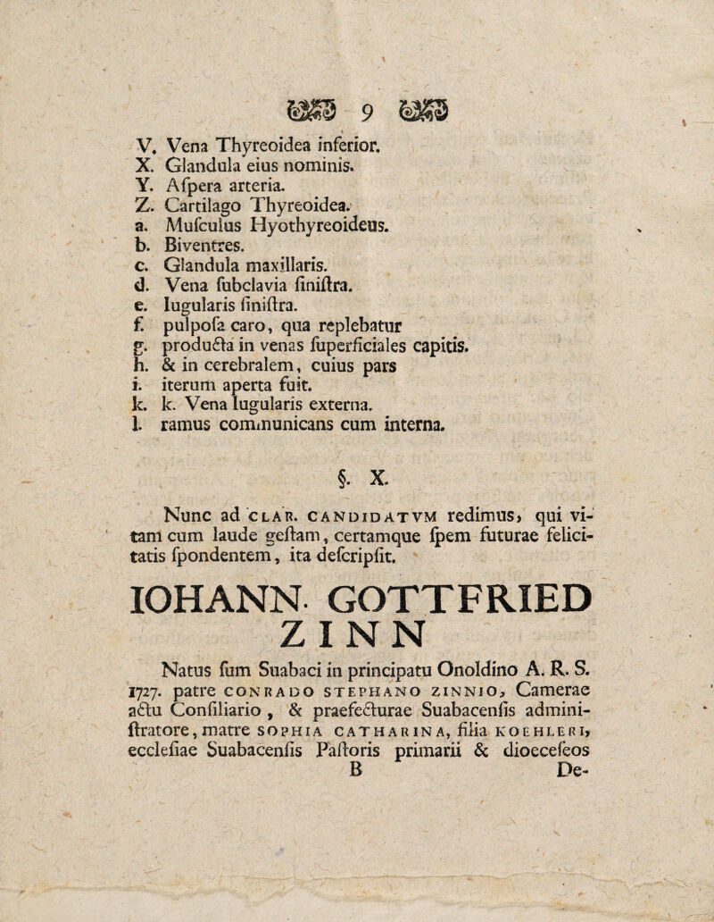 ♦ . A -• V. Vena Thyreoidea inferior. X. Glandula eius nominis. Y. Afpera arteria. Z. Cartilago Thyreoidea; a. Mufcuius Hyothyreoideus. b. Biventres. c. Glandula maxillaris. d. Vena fubclavia finiftra. e. Iugularis iiniftra. f. pulpofa caro, qua replebatur g. produfta in venas fuperficiales capitis. h. & in cerebralem, cuius pars i. iterum aperta fuit. k. k. Vena Iugularis externa. l. ramus communicans cum interna. §. X. Nunc ad'clar. candidatvm redimus, qui vi¬ tam cum laude geftam, certamque ipem futurae felici¬ tatis fpondentem, ita defcripfit. IOHANN GOTTFRIED Z I N N Natus fom Suabaci in principatu Onoldino A. R. S. 1727. patre conrado stephano zinnio, Camerae a£tu Confiliario , & praefefturae Suabacenfis admini- ftratore, matre sophia catharin a, filia kqehleri, ecclefiae Suabacenfis Fartoris primarii & dioecefeos B De-