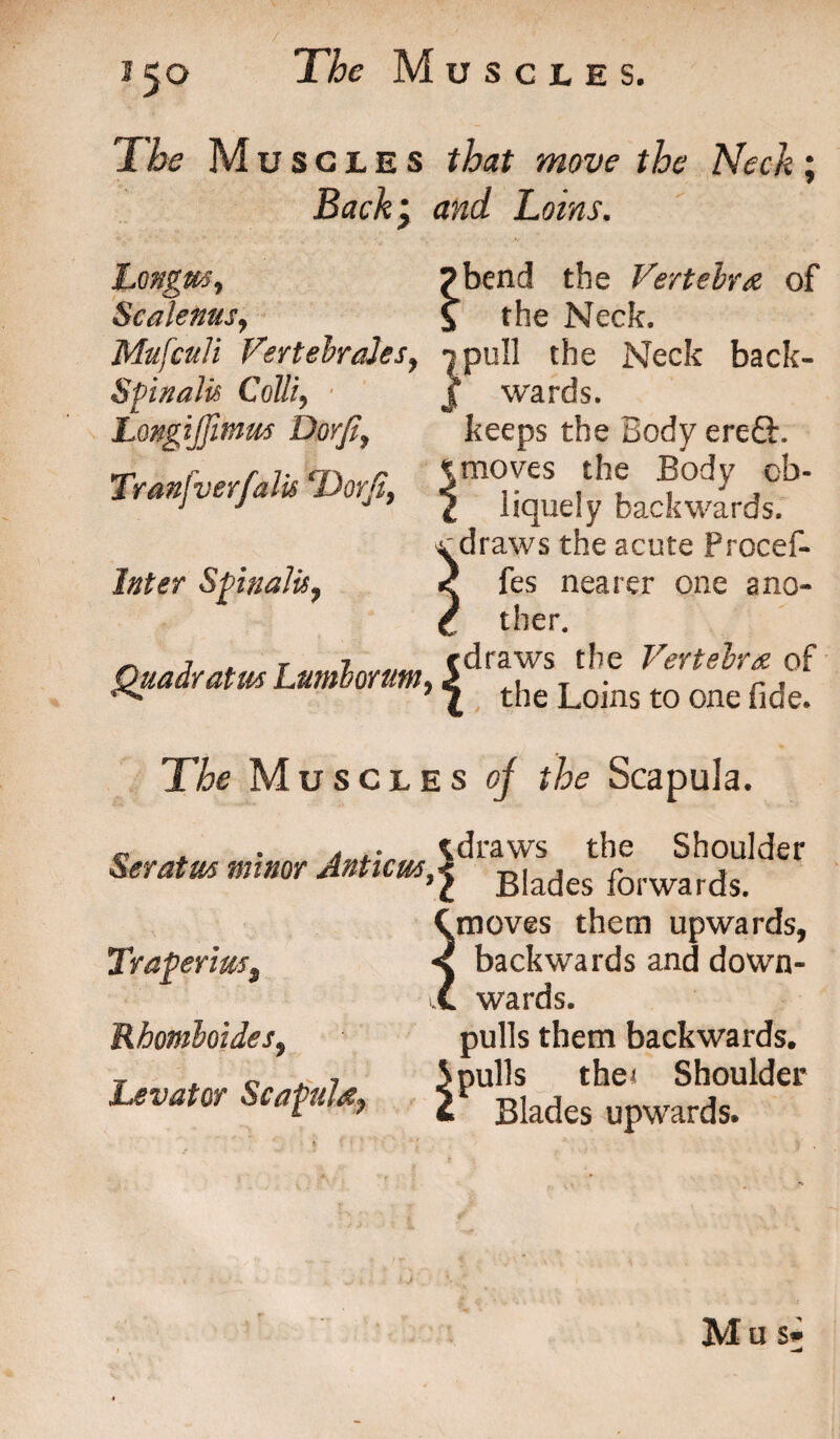 50 The Muscles that move the Neck; Backy and Loins. Longm, Scalenus, Mufculi VertebraJes, Spinalis Colli, Longijfmm Dor/1, Tranfv erf alls Dor/I, Inter Spinalis, bend the Vertebra of the Neck. pull the Neck back¬ wards. keeps the Body ereft. moves the Body ob¬ liquely backwards, s,; draws the acute f rocef- fes nearer one ano¬ ther. The Muscles oj the Scapula. c* , • 1 draws the Shoulder Seratm minor Antim^ B[ades forwards. moves them upwards, backwards and down¬ wards. pulls them backwards. 5 nulls the< Shoulder V Bl; Tra^ermSf Rhomboides, Levator Scapilfy Blades upwards. Mas*