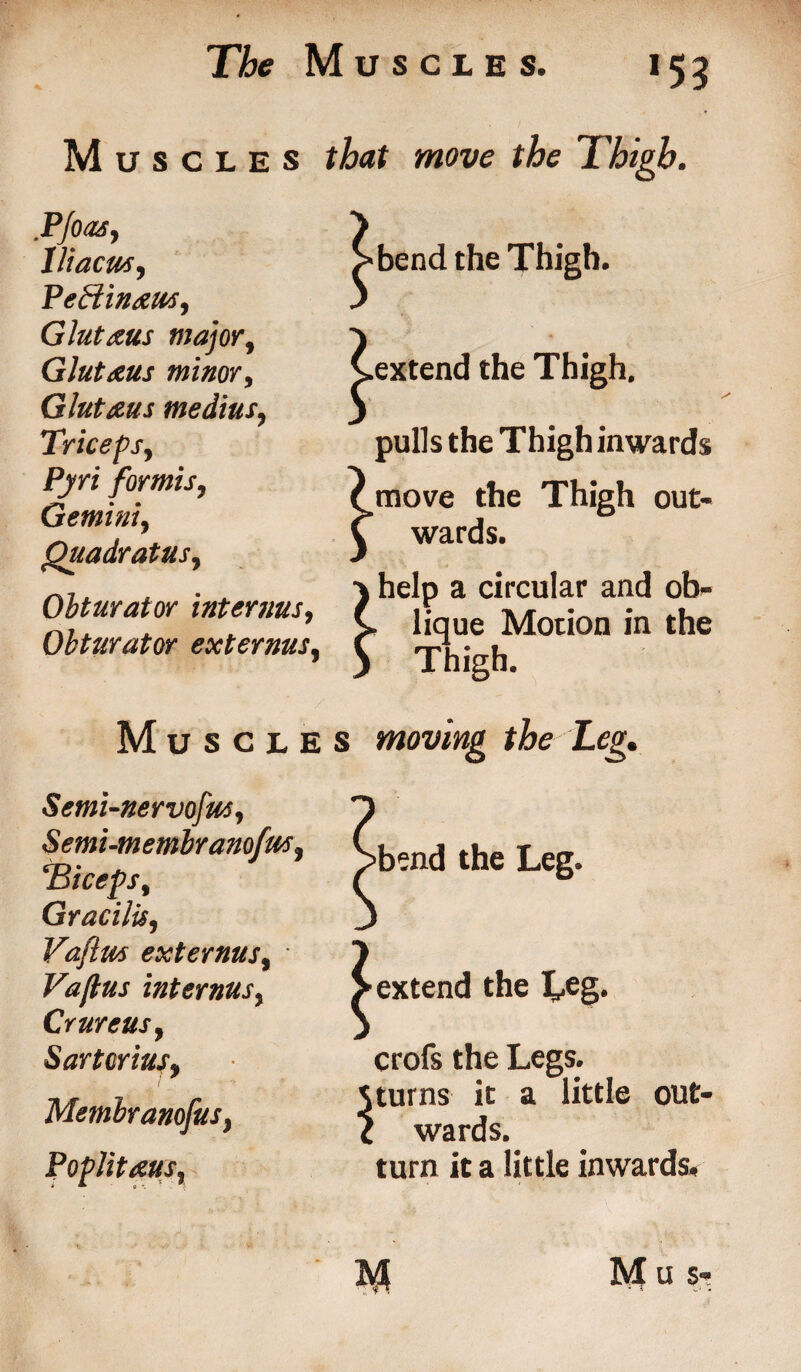Muscles that move the Thigh. .PJoas, lliacus, Peffin&ws, Glutaus major, Gluteus minor, Glutaus medius, Triceps, for mis, Gemini, Quadratus, Obturator interims, Obturator exterms, Muscle Semi-nervofus, Semi-membranofus, Triceps, Gracilis, Vaftm externus, • Vaftus internus, Crureus, Sartcrius, / Membranofus, Poplitaus, bend the Thigh. Cextend the Thigh. pulls the Thigh inwards (move the Thigh out- C wards. j help a circular and ob- C. lique Motion in the 5 Thigh. s moving the Leg. ■bend the Leg. extend the Leg. crofs the Legs. Jturns it a little out- c wards. turn it a little inwards.