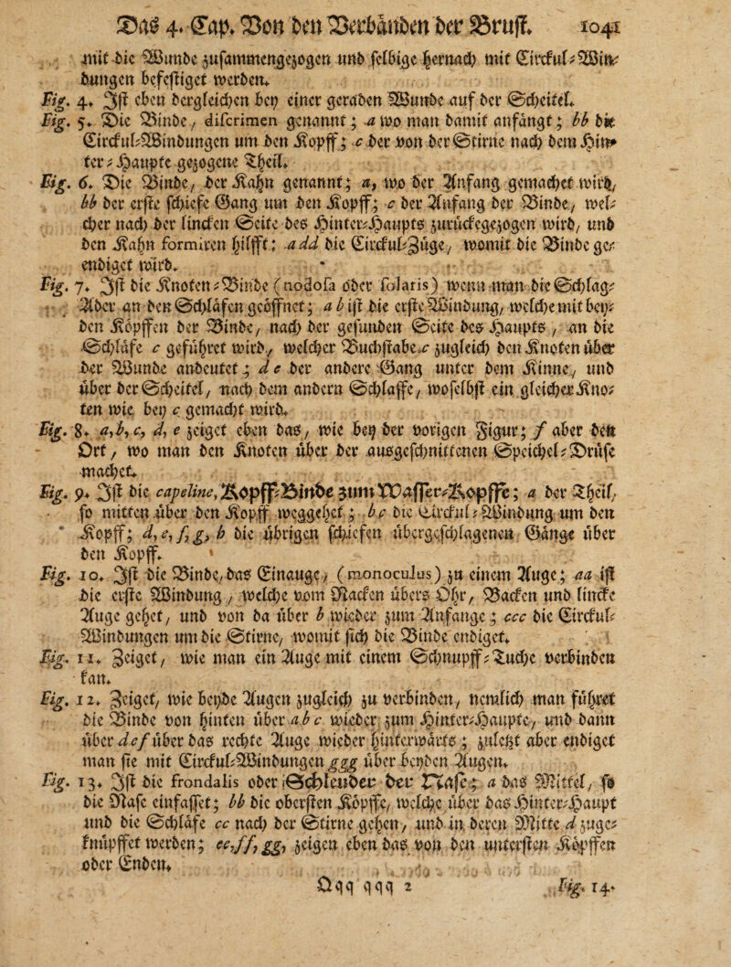 mit bie 2Bunbe 5ufammenge$ogen unb fefbige |emad) mit ©rcfu^SSÖitv duttgcn befefftget meiern ' Big. 4, 3ß eben bcrgfcicbcn bei; einet geraben IBJunbc auf bet @d;cifeL Big. 5* ®ie ^Sinbe, diferimen genannt; a\vo man bannt anfangt; bb bie ©rcfukSBmbungcn um ben Äopjf; c bet von bet ©einte na«3> bem Join* UttSpanptt gezogene 3$eil* %. 6. ®ie 23inbcv bet Äajfm genannt; wo bet Anfang gemadjef \v\ik( bb bet crf?e fd;iefc Sang um ben Jibpff; bet Anfang bet 23inbe7 mU ct>et nad; ber linefen ©eite bes ^)intet^aupt6 iutnefeg^ogen rnitb/ unb ben J?a&n formiten f^ifftadd bie Siteful^uge/ .womit die SSinbe gc,< endiget wirb, • Big. y. 3Ü bie JCnofcn; SBinbe (noäofa ober foiaris) wenn man die©cf)fag; 3ibet an ben ©d>Idfcn geöffnet; ablft bie erfte Stnnbang, wetd;e mit bei\y* ben j?cpffen bet &inbt, narbet gefunben <Seite dc^^naup>f6v an bie ©d;fufe c gefüfcrct wirb/ meiner ^Sucbfiabe^ $ugfeid) ben knoten übet bet Söunbe anbeufef; d e bet anbete (Sang unter bem j?mnev unb übet Ht&d)ütä, nacf> bem anbern ©düafc, mofetbji ein gfeicbet^no? ten nne bei; c gemacht mirb, Bf. 8* a^byCy d, e geiget eben bas7 wie bei; bet notigen gigur;/ aber ben Ott, wo man ben knoten übet bet ausgefdmitfenen ©peid;et?3>rüfe maebct* Big, 9+ 3j? bie capdine, £\Opjf;Äin&e gum XüaffetvX^op^c; a bet £()cif> fo mitten übet ben Äopflr wcggef;ct; be bie viiriM? äßinbung um ben 0 Jvopff; d, e, f g} b bie übrigen febiefem übctgcfd;lagenen ©ditge übet ben Äopff, Big. 1 o. 3$ bic 3?inbe/ba$ ©naugC/ (monoeuius) $u einem 3fuge; aa ift bie erpe SBinbung , wdebe vom S^acfen übers ö(uv 35acfcn unb finefe 3Cuge gc^ct / unb ton ba übet b wicber $um Anfänge ; ccc bie SitefuU 2Binbungcn um bie ©firne/ womit (tefe bie 23inbc enbigef, ; \ Big, 11, geiget, wie man ein2lugemit einem @d;nnpf^ud;e vetbtnbcit * fan. Big. 12, wie bci;be 2fugen juglcid) §u verbinbeny nemüd; man fügtet bie SSinbc von hinten überaüv wicber jurn Jpinfer^auptc7 tmbbamt übet def übet bas rechte 2tugc wicber |tnfmvatfs ; jpleßt nbet enbiget man jie mit €ircfuf^2öinbungen ggg übet bepben 2lugcm Big. 13, 3ü bie frandaiis ober i@cfelcilben bet Z%&fe$ a baS pJIlttcl, fo bie Dlafe cinfaffet; bb bie obetfien Äbpffc/ mefebe übet bas Hinterhaupt unb bie ©ebidfe cc nad; bet ©firnegefeit/ unb in. beten S)?iffc d juge^ fnüpffet werben; ^7ff7gg1 geigen eben bas von ben unterfien Äopffen ober Snbem 0gq qqq 2 Big, 14t