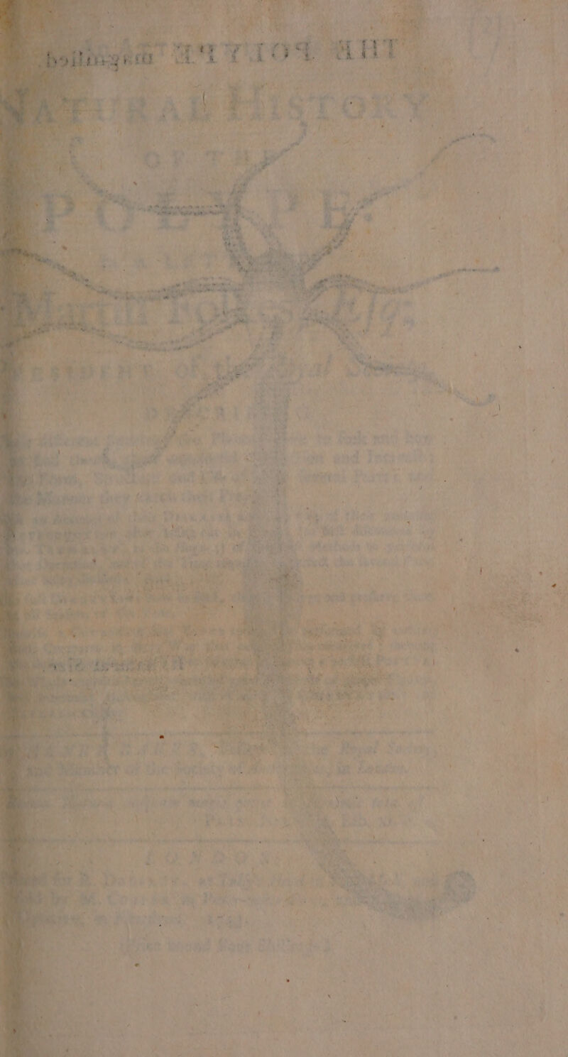 pipter iy A “at he vy at atl ea ergot a eS wa ie a ‘ * ny AD, aero, a ‘ r w Ab ube “ f we ‘Ro itt Pony ey | mi fit as Mee ! Wo Dir, prities Ly tof : Cnty ig A Fatt! i A ay s Th tea ad aie emvaes bee's obi i bellied -- GR oie ieee Aun AA 4 ay ) a $5, is , o . ie Ete vp Rue”, ea al ‘yay y a x | et ae fir le aed | : ey. PRG ee i SFE SE es : Seka Baie ask Giles d } a st at Saas = ‘ RS ‘ ° ’ 5 Pe “We ‘