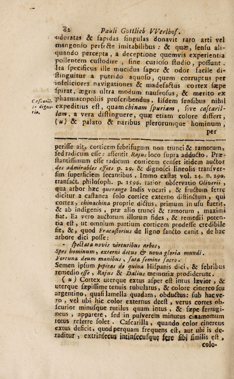 odoratas & fapidas fingu-las donavit raro arti vel mangonio perfe&e imitabilibus ; & quas, fenfu ali¬ quando percepta , a deceptione quemvis experientia poilentem cuffodire , fine cuiiofo ftudio, poffunt . Jta fpecifious ille aiucidus fapor & odor facile di- •ffingnitur a putrido aquofo, quem corruptus per infeliciores navigationes <Sc madefaiftus cortex faepe fpirat, asgris ultra modum naufeofus, & merito ex cafcArZb spharmacopohis profcribendus. lifdem fenfibus nihil digna- expeditius eft, quamchinam fpuriam , five cafcaril- tam, a vera diftinguere, quae etiam colore differt, {«) & palato & naribus plerorumque hominum, per perilTe ait, corticem febrifugum non trunci & ramorum, iedradicum eile.- afientit liagusloco fupra addudlo* Pra?- flanti (limum efle radicum corticem cenfet itidem au£tor ^des admirables ejfets p. 19. & dignofci lineolis tranfver- fim fuperficiem lecantibus . Immo exftat vol. 24. n. 25?®. tranfadt. philofoph. p. 1596, rarior obfervatio Oliverii , qua arbor harc querango Indis vocari , & fru&um ferre dicitur a caftanea folo cortice externo diftin&um , qui cortex, cbinachina proprie di&us, primum in ufu fuerit, & ab indigenis , pra? alio trunci 8c ramorum , maximi fiat. La vero audforum illorum fides , 8c remedii poten¬ tia eft , ut omnium partium corticem prodeffe credibile fit, &, quod Fracaflorius de ligno fan&o canit, de hac arbore dici polfe: - fpeUata novis virtutibus arbos, Spes hominum, externi decus & nova gloria mundi. fortuna deum manibus , fata femine facro . Semen ipfum pipnas de quina Hifpanis dici, & febribus remedioejfe , Rajus dc Dalius memoriae prodiderunt. C u ) Cortex uterque extus afper eft intus la»vior > & uterque farpiflime tenuis tubulatus, & colore cinereofeu argencino, quafi lamella quadam, obdu&us: fub hac ve¬ ro , vel ubi hic color externus deeft , verus cortes ob- icurior minufque rutilus quam intus , & farpc ferrugi¬ neus , apparere, fed in pulverem minutus ciaamomum totus referre folet . Cafcarilla , quando color cinereus extus dencit, quod perquam frequens eff, aut ubi is de¬ ditur , extrinfecuj intinfccufqu? fgie Sbi fimilis eft , colo*