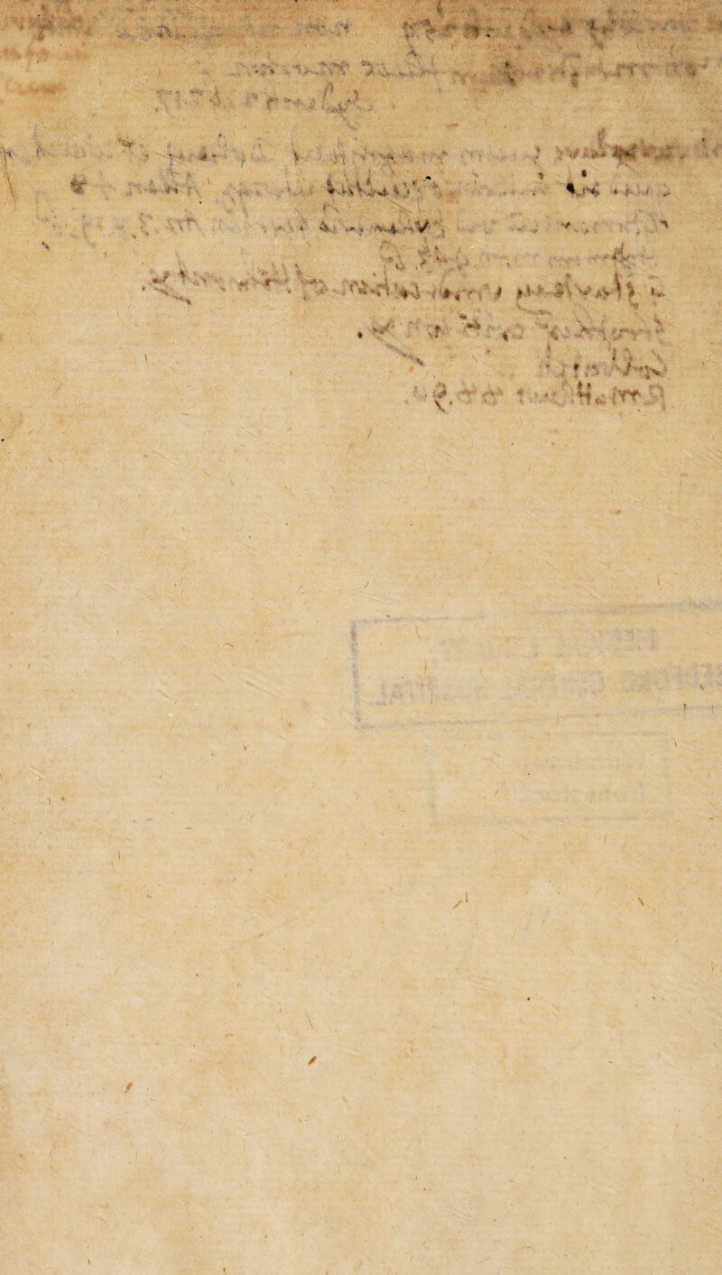•* >%.. > -i'4r v'f-’ '* - ' ’■ ? -A ^ * v ^ 4» » . «M * tu- ' ■i ■*•'***-« . V T* .'•« . - ■ f- » ' „ .■ ■ ,v ; V' i -,r\ rh; .•. is ■ • . k&vi f -. ■ * r.iiV ■V $■•;'■£ rTC' i >*  [y-v y ':• v.. •/'•**-*I * - > .* i, jv-4 ■ J --• > *'• , ‘<y-^ * Vi.’> * >» .. * t is -i / ■ * '• .* % \  •Sii- i . J ■ - - , >rt V > % -