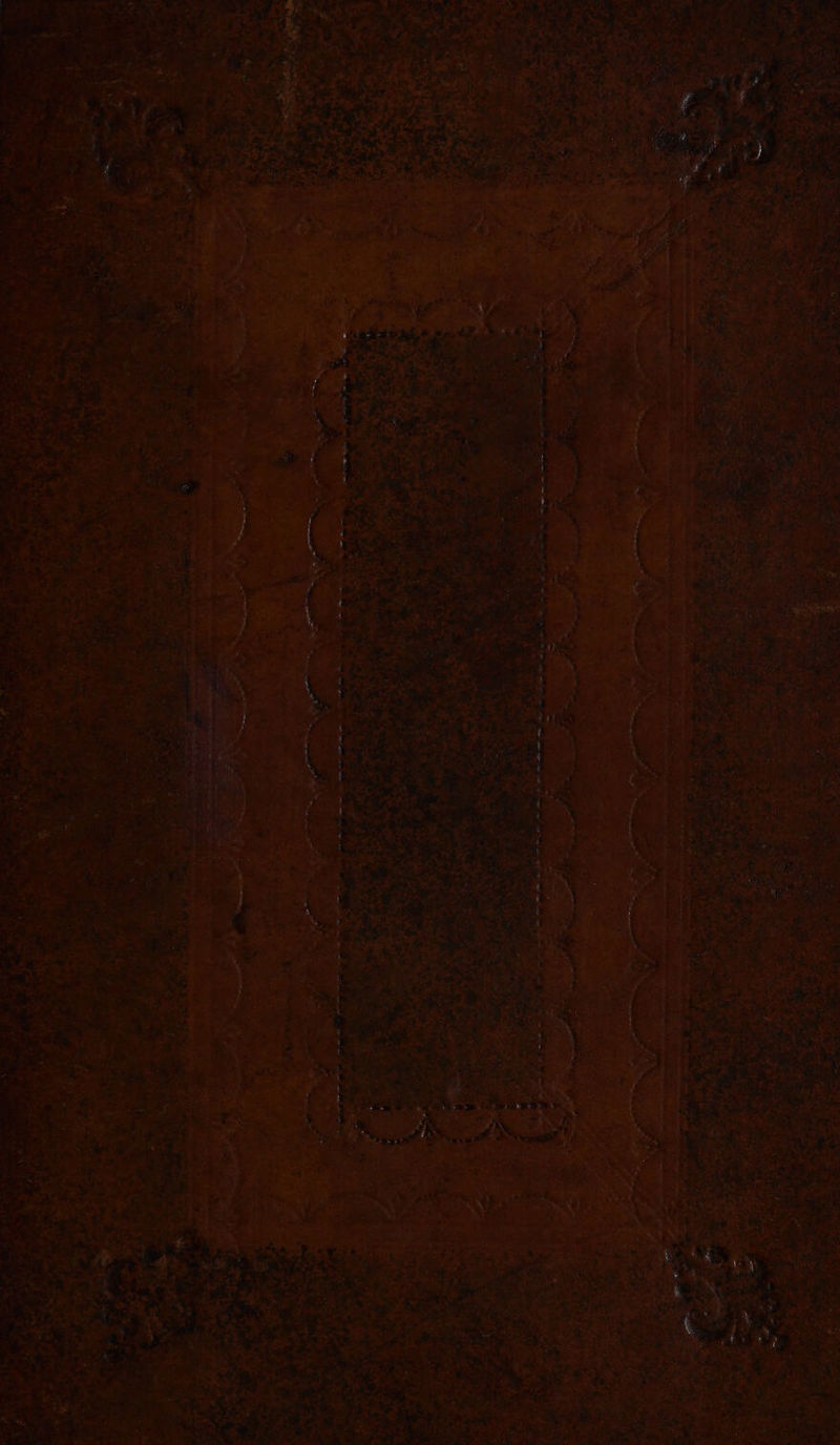 No text description is available for this image