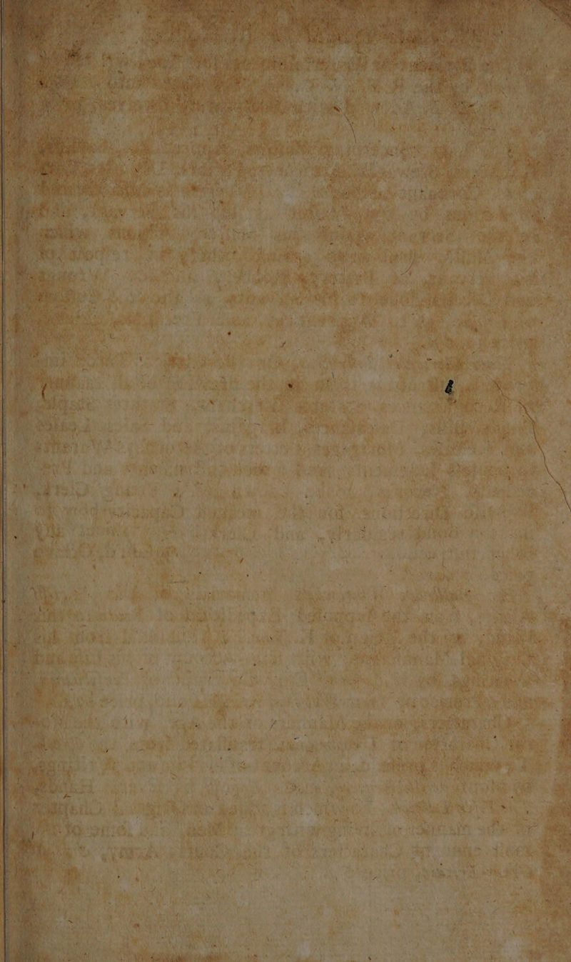 “poe = oom £ Le et as Oe T- mé