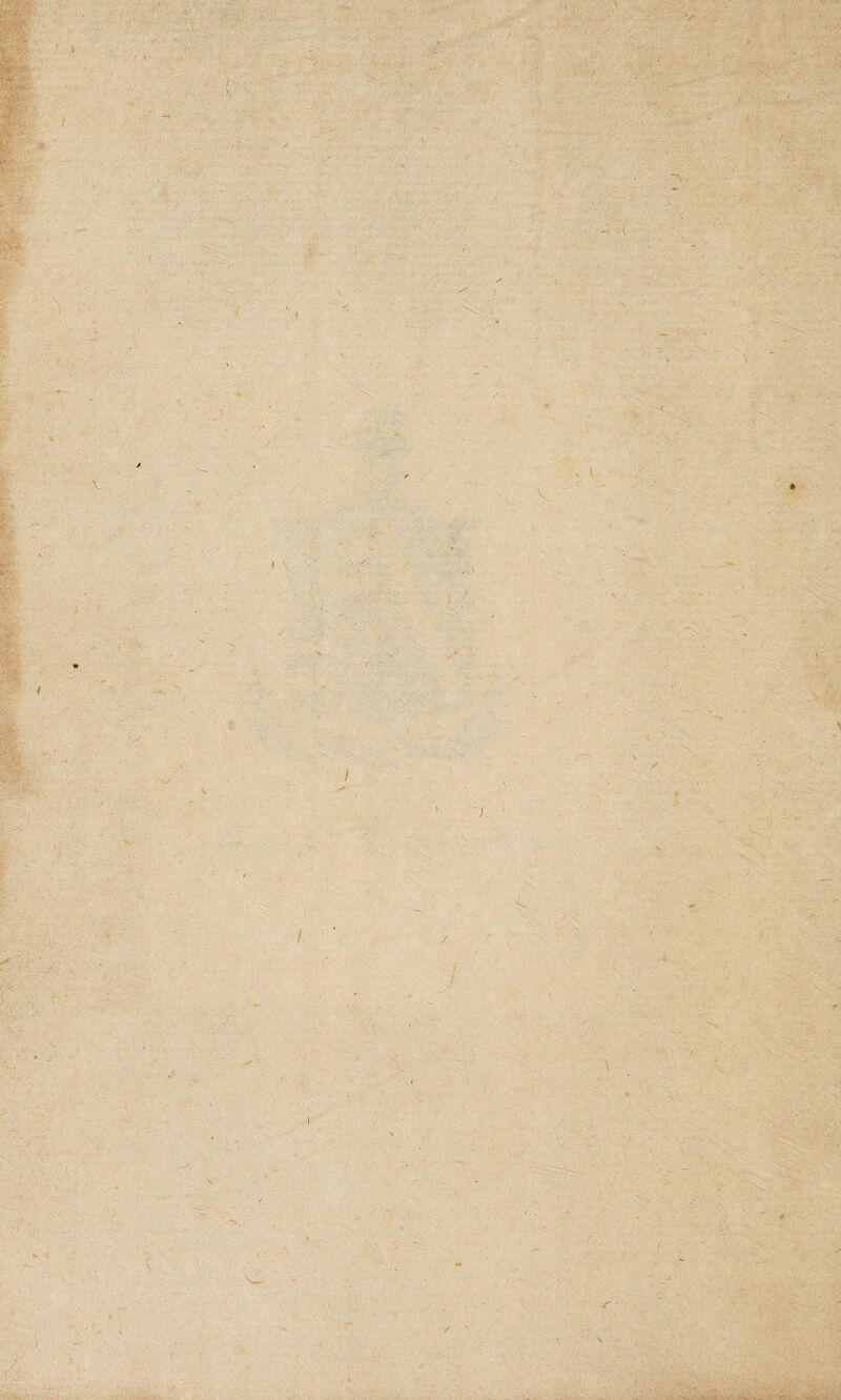 à * j : r \ . \ I ✓ \ / .. t / I / S N • -• , ,'Lv .... . '•S „ • v