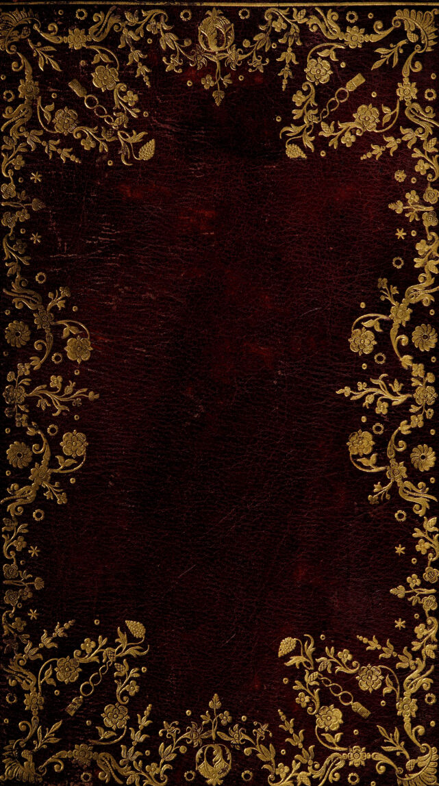 No text description is available for this image