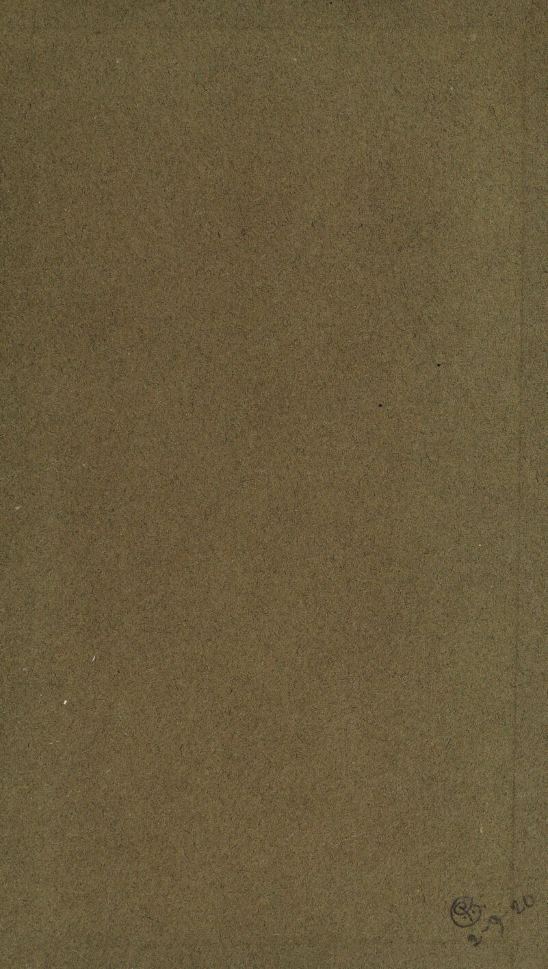 AO •: <r Pv . . .' ... . •■ ,■ / ... : , -v Xh ,.y: ■: 7;7 '' ■/: \v''' ■ ;■' > #y • Y :■ • . ‘V.V' .‘vr •• mm • . #74# mm ■ JA-.'-A >■' '.-. r ■■ ,iv - ,■ v v. i- ■■;.. „ ” - ^ > t r,[ t • •*. ,, .• v“.... v a1 »„• ■-;• k#1' ' (hr si illl ; >k.r,y;>. A-.'.*•’ v-. ,.'V'V,):'V* • ftjfi M si V ■ ■■ :■■ AO, !'< “MviSwsvS A / ;.  Af'io ■ -i ■ '• - • ■ 1 •-■■' i | ' , , vv v ,•>••••> . . . :\?V 111#; aps* . ■ ' ' wit / i* ’V: ^ ■ -#### -v, ... 1 ,, ■ I , •. k>«. v- iv.'y •w» -KM v-'• •- ;,'TV,'V ; Vh • V'/f »• '->C- o'‘Vri:-.- ; ■-*'v'* ■ ' • '•.•> ;.. '?#S* •■’>'v: ,-j vv'.v-c; v-'i v '. a.v'; yra :• -.--vi# . •>• y.£ •;>. • y f\% -■ v; , ■• ,;v *. j-1 v ;m- : :# Vv.3& ■:' ■ '•.. •• r< ■•;•• I • .s; V .■/■*  <' ’ '• > ■>,' v, >. ' 'V-- ' •- -r* >V. s ••' •>•.#- •v-v-' -vv'# . ' * - h , ■' *•>«*■:# : cM ■‘M 1 e>C%' i r. ■ ' ; •* .1 O.-.j '» r -; '* m -. /'TX>- ' c^' <.A, • w. • . «wsJ|Ma^Lr-f S-. :.\r.vgy vll ; . v, v y-■■■■;•';: ^ ' f ■ -;v;v|v--v: P< ■ ■ ' : C: a-' •.>. r,'-  i m ~**Ai4X.'■ ’-.-V.V;■'>'* •- r- > •• :0-‘A-.r f,.'ftv•rr,.«<C':-J 3^ ;V. •Av :'4 ■ -•• -,-r t . Mi -ii'fOOOfc . >ivi'; v', ,’ ■C; ' - >-j ' ' » . 1 s, :v- ■'- - : ■■' - ••; :,i v ■■ . .0 ■ . -•1, •. yv:-vV.'v'' }.l ^.VTr-ivV.- 'A v -: •>-• > K iJ.;. -P##... - -v ... • .. .:'V.... >•• .-(•> V' vvv-'-.’ W ^ V ' V; Oi > ;v ' ■’- , ! . , --^!VVvV:-. -.'L: - V ’' -■ ' ; I; - ■}::}&%&'$} t ,.w •..;v viv^^iiKv'-^v'A'Wv: isv;‘,iy-' m? ■-y.iym- 'sv&mgSBBMREBt&& -;.„vV*;r; ’ - k ' .. - I ■' : :V ■ ' :  V ' i:# ' / . ■ i -■ ;7a^'7;;v7, ' ' ■ . ■ '■ ' ■:  f?' ■■■-■ . ■' . - •■.-'■'■ *■ ,:^... X : v... ' -. ■ /■ 0- ' V ■.. ■ -V .. .--V ' - ,7-i %0ry’' r i; •’ijjife 'C-:v-r V.'/.•...'•-. * *.X£ ’••#,^1. # i-. - ••.'■'O'.;!. .}■■ . ■ •' ‘ .. .. •/. Vl ■ - ■ ev,i:,‘v.:, U:\- .-V; ■ •'■: .•• V.'v -’• v v'-m ,'.'-7 - ' ■ ■ f/l ' ; - 1 ; - '<...• •'■ - ->£?.- .7: **•. ■■■'■*•' ;•lf;/ A*. •? 'i. .'v. ■ v f • : . :,Ar:''iC7 ■ ' ' - ■ . V:' ■' - 'i . jl .■.: . , .• .tv.. •-.7 A ' • ,■• >A S .' - •• -■. ''■/A ^ !#-'/••-■ ’.-V } '1 • '■}#v-'V.'n ‘‘V-:■'■ ''■••• f-y i r ' -><r .7 s ' •*- rVy ;: A ■ S'A.’7'7;-v vsAi O'-' Vv- -r 'v': : 7^ :77: - ... • ' ■ m I ‘ .’ A''-': ;o'. . •'.-.7,; 7/ -••.• ...,,. „ ..... -. .... - .. . ... ...,...., > v. ■' ...' t /. .-■•■■■'■-■ :..■••■ - • i. v;w-v-1 7- ■' 7' v.-,' -. , ..... ... v.: 1 ■. .-'.V--; ..• , -: S-O——rT' ’■ ’:;'f Vv7.. : ■ ■ i ' ■ ■. •• '. <7'.  7'V. 7;.;'-V’. 1 -'7lV.'. • v- -- ' - V.-'. >V -.'V a-iy A-.V V-.V.V ■ .-■. : ,;r.. ■ . , : I#; - Tera t . - • .;■ ’r<c V -t- ■ '• '■> '■■£&&*• 7'- ^7.7: ;:^..77<,.;7..^7.>.; ^^.777777'. ...'•■ 7-7 7':#tA:;.-.,7..v7 ■• ■ •' ; 5 • v : :* r.mW.;• :• • v' •; i ' hi