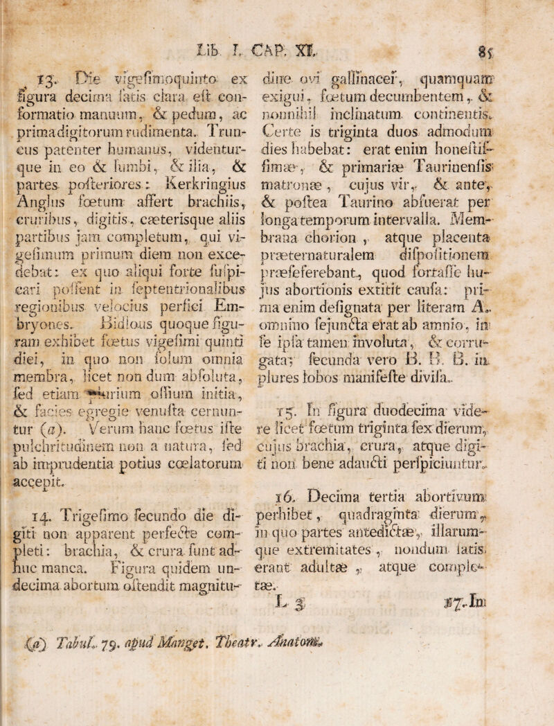 13. Die vigefimoquinto- ex figura decima fatis clara e fi con¬ formatio manuum, & pedum, ac prima digitorum rudimenta. Trun- cus parenter humanus, videntur» que in eo & lumbi, & ilia, & partes pofterioresKerkringius Angliis fetum affert brachiis, cruribusdigitis. cseterisque aliis partibus jam completum, qui vi- gefimum primum diem non exce¬ debat:. ex quo aliqui forte Impi¬ cari poilent in feptentrionalibus- regionibus velocius perfici Em¬ bryones.. Bidlaus quoque figu¬ ram exhibet fetus vigefimi quinti diei, ia quo non folum omnia membra, licet non dum- abfbluta, fcd etiam-- *4uruirh; offium initia, & facies egregie- venufta- cernun¬ tur (a). Verum hanc fetus ifte pulchritudinem non a natura, led ab imprudentia potius caelatorum accepit 14. Trigefimo fecundo die di¬ giti non apparent perfedte com¬ pleti : brachia, & crura- funt ad-- huc manca. Figura quidem un¬ decima, abortum oftendit magnitu¬ dine- ovi gallmacef, quamquam exigui, fretum decumbentem r & nonnihil: inclinatum- continentis. Certe is triginta duos admodum dies habebat: erat enim faoneftii- fimae*,-. & primariae- Taurinenfia matronae , cujus virr & ante,- & poftea Taurino abfuerat per' fongatemporumintervalla. Mem¬ brana chorion r atque placenta praeteraaturalem difpofitionera praefeferebant, quod fortafle hu¬ jus abortionis extitit caufa: pri¬ ma enim defignata per literam A,, omnino fejimfta erat ab amnio, im fe ipfa tamen; involuta ,. & cornu gatay fecunda- vero B. B. B. iit plures lobos manifefte diviia,. 15; fu figura' duodecima' vide¬ re licet fetum triginta fex dierum, cujus brachia', crura,- atque digi¬ ti non bene adaucti perfpiciuntuiu x(x Decima tertia abortivum ■perhibet,- quadraginta dierum* in quo partes antediffey illarum- que extremitates r nondum latis, erant' adultae „ atque compfe tae. L $ jQi) TahiL 79. apud Manget, Tkatr,, AmioM*