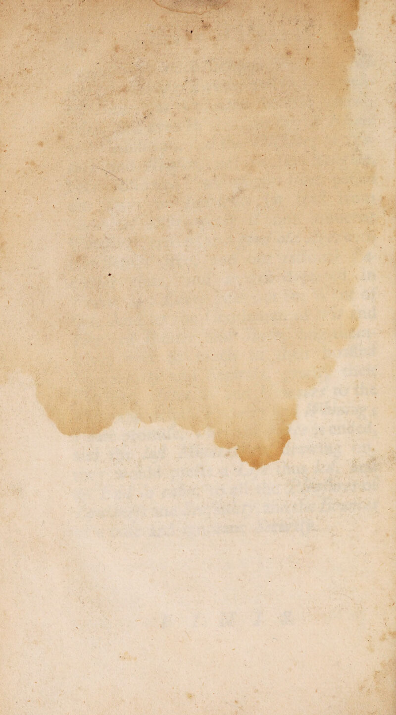 t . / \ Ki I * «■ ♦ * w