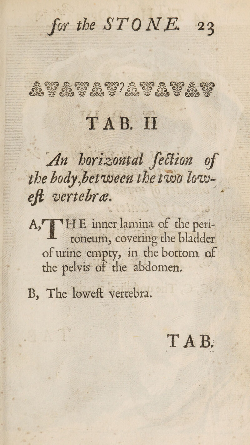 TAB, II An horizontal feftion of the body,between the two low- eft vertebra. Arp H E inner lamina of the peri- -*• toneum, covering the bladder of urine empty, in the bottom of the pelvis of the abdomen, B, The loweft vertebra.