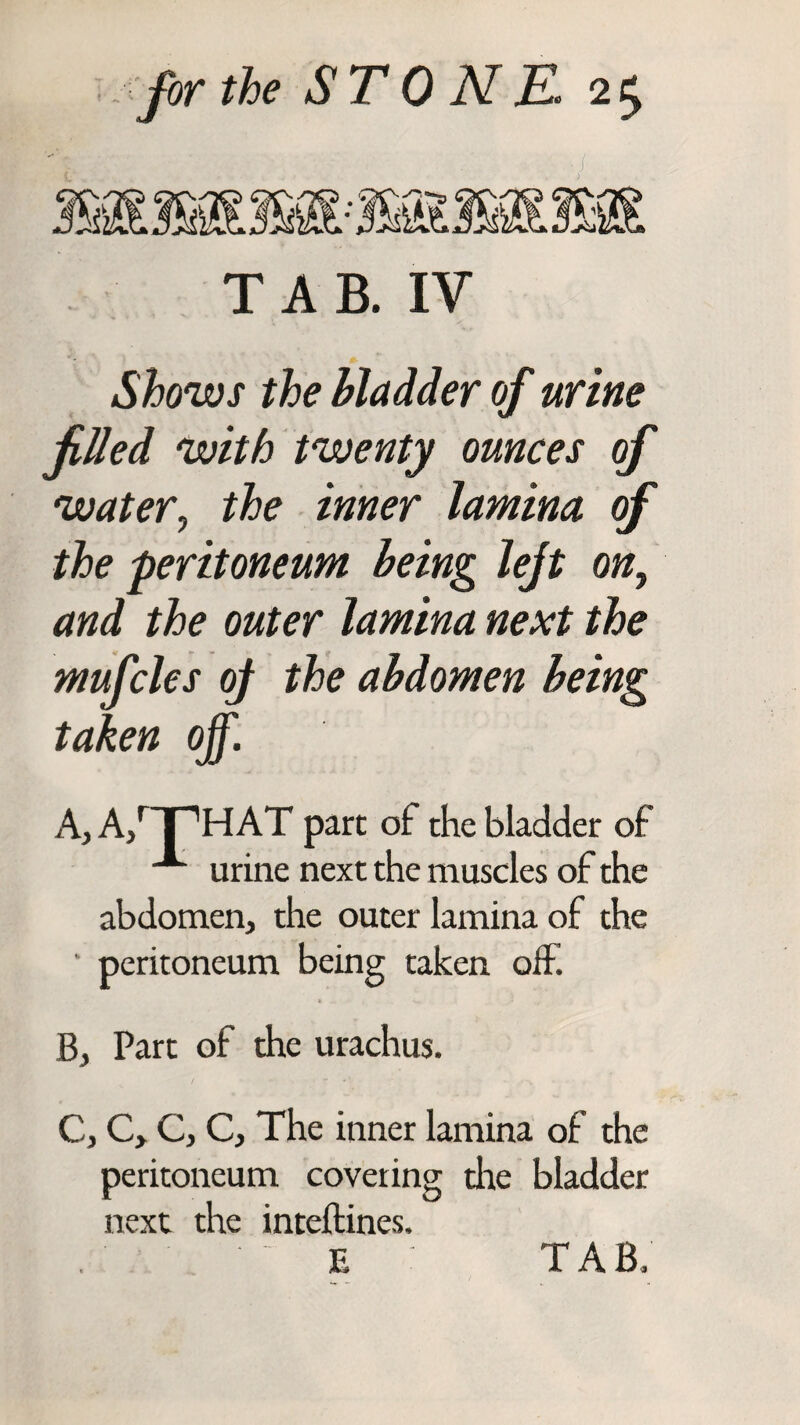 ■j T A B. IV Shows the bladder of urine JiUed with twenty ounces of water, the inner lamina of the peritoneum being left on, and the outer lamina next the mufcles oj the abdomen being taken off. A, A/T'HAT part of the bladder of urine next the muscles of the abdomen, the outer lamina of the • peritoneum being taken off. B, Part of the urachus. C, C, C, C, The inner lamina of the peritoneum covering the bladder next the inteftines,