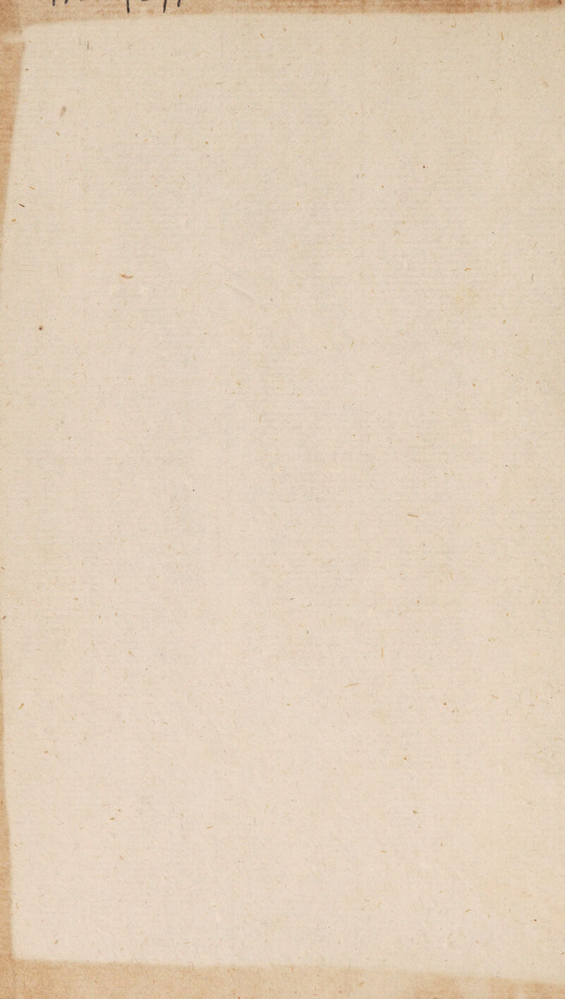 f * ■m ' I l -'*• *+**&•■ * • -V :- ■'< f  1 J • \ rtm- \ / { / / \ } N » Hr w. %•■ • '.V ' \ / * \