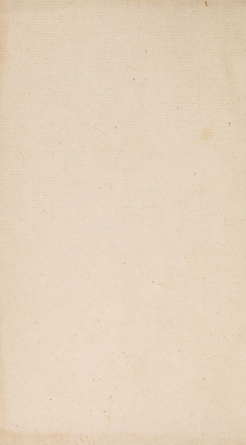 f X ✓ I v V i { \ I * i \ ( \ / •/ 4 V ' J s' ✓ J /