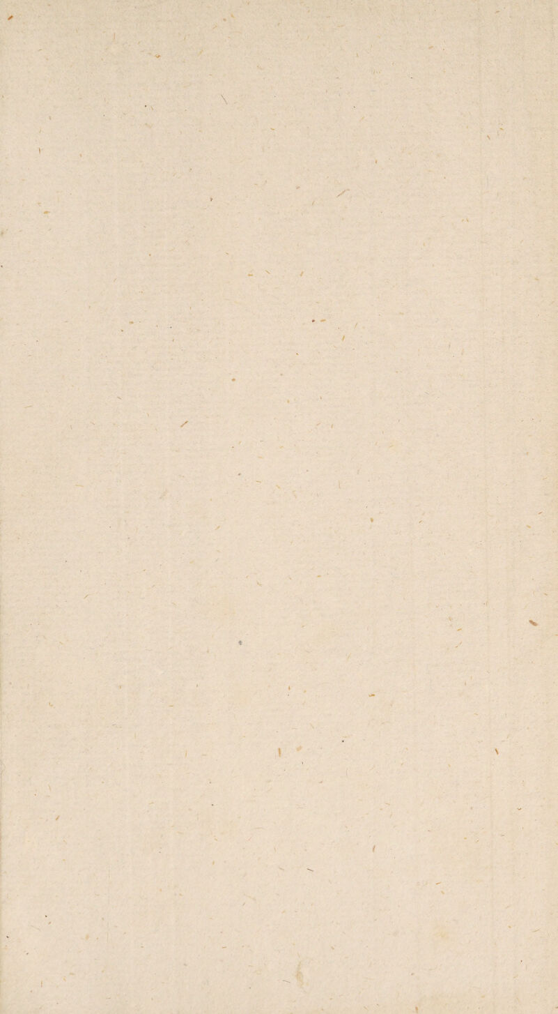 \ ' I I / \ \ • \ •« . \ \ / ') i S t ( > V 'f * 4 ✓ { I \ I t