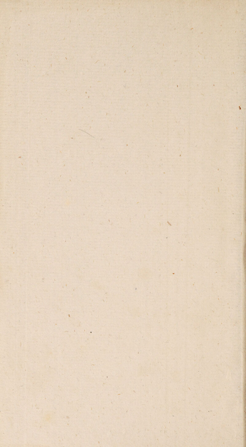 I / V t ■ / T»i. \ r ) 4 \ / l / v I V. > i I I * \ (' * I \ i \ i \ \ \ t