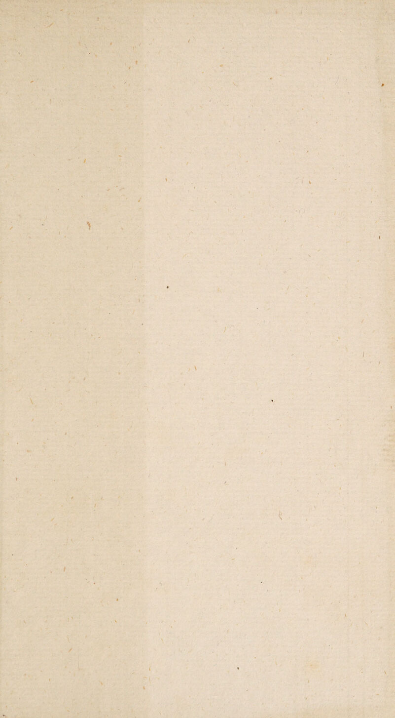 / * i V l t i / i i ) / i \ \ / \ \ \ t V I l 1 \ \ t