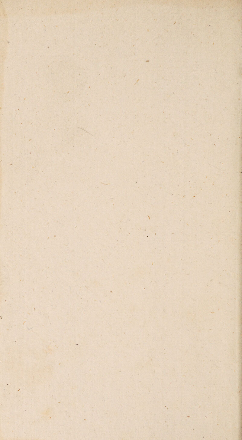 I i ... « ✓ x. [ 9 i \ / s I r \ •/ * i- x ■ * #»■ % \ 7 / / * / 'I