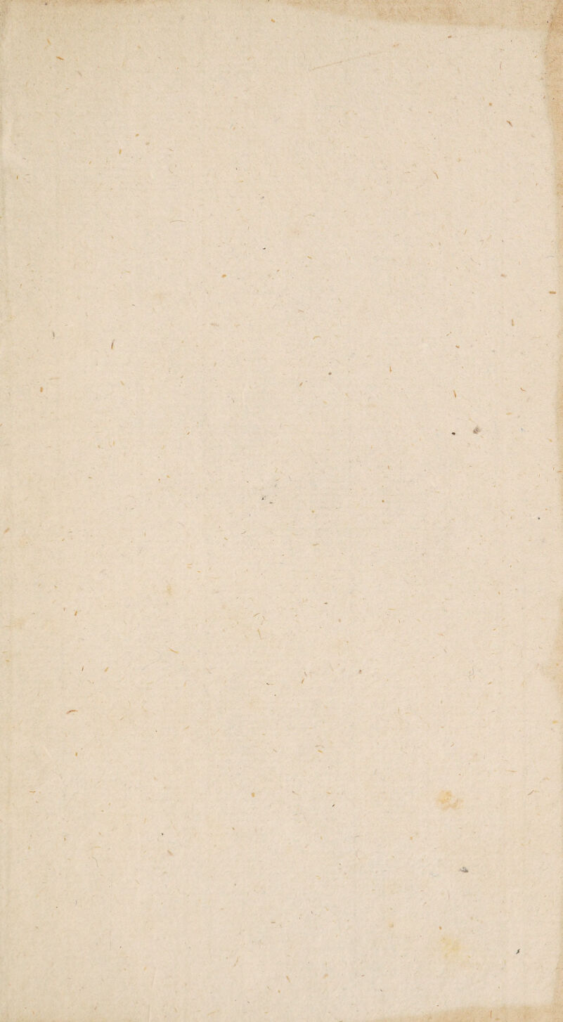 \ '>& ■ l I M t \ i \ \ i . t » \ V / / / « -'4fc > \ / 