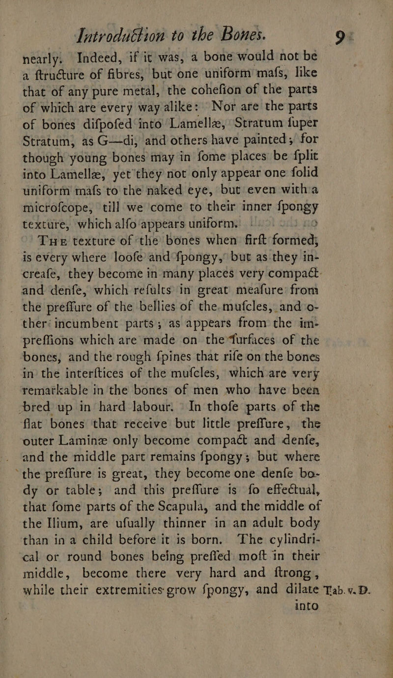 nearly. Indeed, if it was, a bone would not be a ftructure of fibres, but one uniform mafs, like that of any pure metal, the cohefion of the parts of which are every way alike: Nor are the parts of bones difpofed‘into Lamellz, Stratum fuper Stratum, as G-—di, and others have painted , for though young bones may in fome places be {plit into Lamella, yet’they not only appear one folid uniform mafs to the naked eye, but even witha microfcope, till we come to their inner {pongy texture, which alfo appears uniform. | Tue texture of the bones when firft forriied is every where loofe’ and fpongy,° but as they in- creafe, they become in many places very compact. and denfe, which refults in great meafure’ from ther’ incumbent parts; as appears from the im- preffions which are made on theturfaces of the bones, and the rough fpines that rife on the bones in the interftices of the mufcles, which are very remarkable in the bones of men who have been bred up in hard labour. In thofe parts of the flat bones that receive but little preffure, the outer Laminz only become compact and denfe, and the middle part remains fpongy; but where the preffure is great, they become one denfe bo- dy or table; and this preffure is fo effectual, that fome parts of the Scapula, and the middle of the Ilium, are ufually thinner in an adult body than in a child before it is born. The cylindri- cal or round bones being prefled: moft.in their middle, become there very hard and ftrong, while their extremities grow fpongy, and dilate Tab.v. D. into