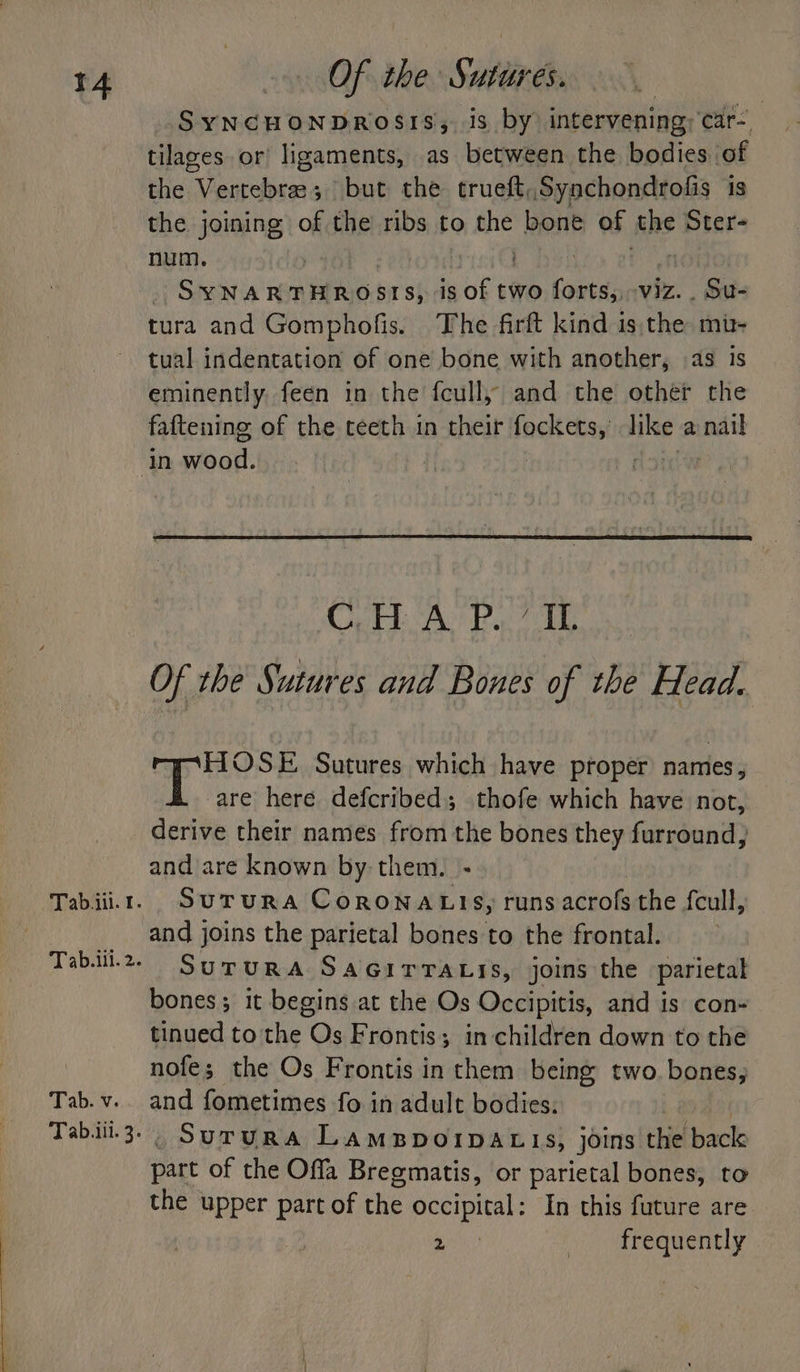 Tab. v. Tab.ili. 3. Of the Sut utures. SYNCHONDROSIS, is by intervening, ‘car=, tilaces or! ligaments, as between the bodies of the “Vientobrsa ai but the trueft,Syachondrofis is the joining of the ribs to the bone of the Ster- num. thy: : } Gheitia' Ren attest st is oe ae Gaeta viz... Su- tura and Gomphofis. The firft kind isthe mi- tual indentation of one bone with another, as is eminently feen in the fcull, and the other the faftening of the teeth in their fockets, like a nail A os Hes Wn CAROL § I Of the Sutures and Bones of the Head. , aieimete Sutures which have proper names , are here defcribed; thofe which have not, derive their names from the bones they furround, and are known by them. - Surura CoRONALIS, runs acrofs the feull, and joins the parietal bones to the frontal. SUTURA SAGITTALIS, joins the parietal bones; it begins at the Os Occipitis, and is con- tinued to the Os Frontis; in children down to the nofe; the Os Frontis in them being two. bones, and fometimes fo in adult bodies: _ SururA LamppvoIpDA cis, joins the back part of the Offa Bregmatis, or parietal bones, to the upper part of the occipital: In this future are gph) frequently