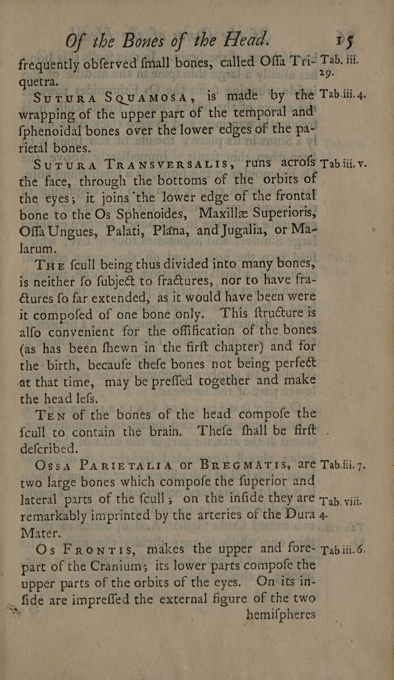 frequently obferved {mall bones, called Offa Tis fe iii. quetra. a : SuTURA SQUAMOSA , is made by the Tab.iii.. wrapping of the upper part of the temporal and* fphenoidal bones over the lower ee of the a rietal bones. SuTuRA TRANSVERSALIS, runs acrofs Tabiii.v. the face, through the bottoms of the orbits of the eyes; it joins the lower edge of the frontal bone to the Os Sphenoides, Maxillze Superioris, Offa Ungues, Palati, Plana, and Jugalia, or Ma- Jarum. THe {cull being thus divided into many Hofee! is neither fo fubje@ to fractures, nor to have fra- tures fo far extended, as it would have been were It compofed of one bone only. This ftructure is alfo convenient for the offification of the bones (as has been fhewn in the firft chapter) and for the birth, becaufe thefe bones not being perfect at that time, may be prefied together and make the head lefs, Ten of the bones of the head compofe the {cull to contain the brain. ‘Thefe fhall be firft . defcribed. | | Ossa PARIETALIA Of BREGMATIS, are Tabiiii. 7. two large bones which compofe the fuperior and lateral parts of the fcull; on the infide they are yay viii, remarkably imprinted by the arteries of the Dura 4. Mater. Us Os Fronvis, makes the upper and fore- fabiii.6. part of the Cranium; its lower parts compote the upper parts of the orbits of the eyes. On its in- _,,, fide are impreffed the external figure of the two ms hemifpheres