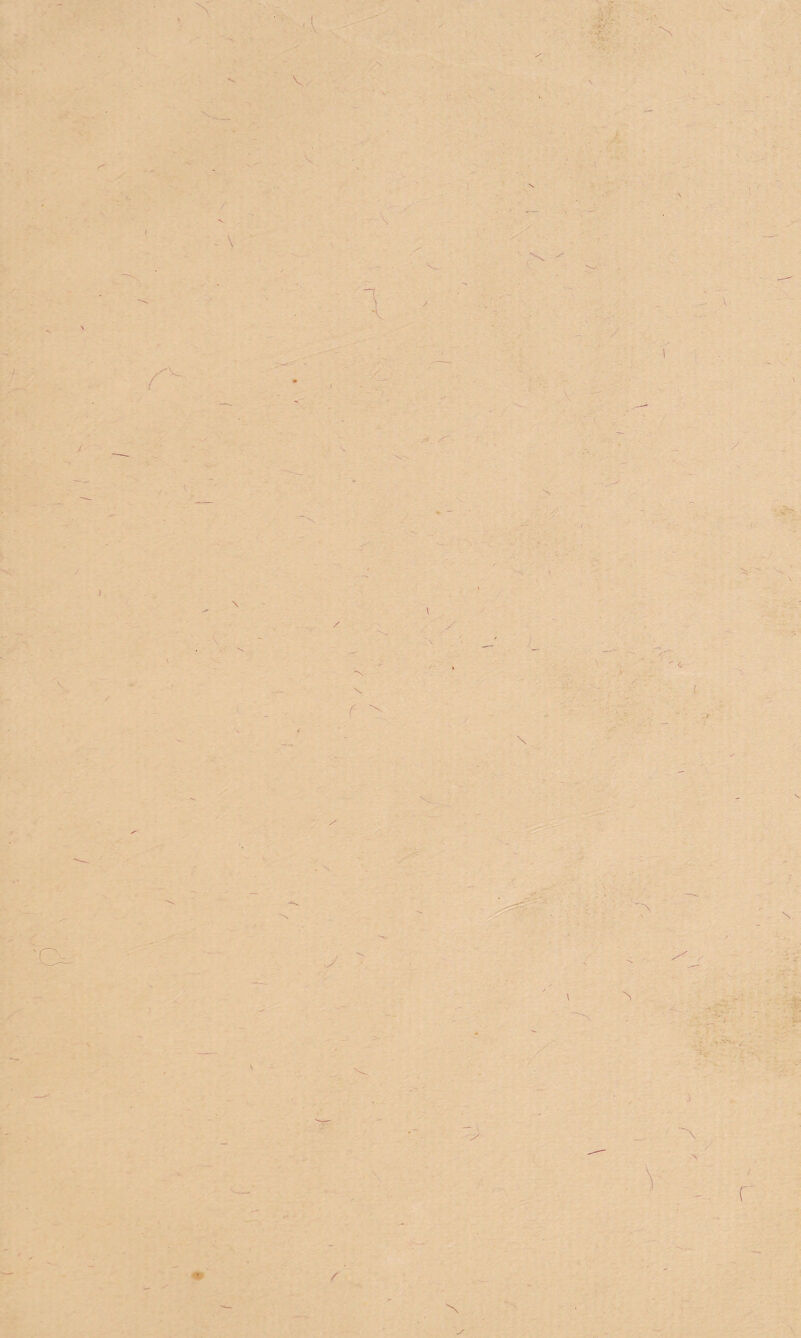 V N rr \ T I \- ) / -'v < v f *> \ N * J ‘ f ~\ ) N / r N